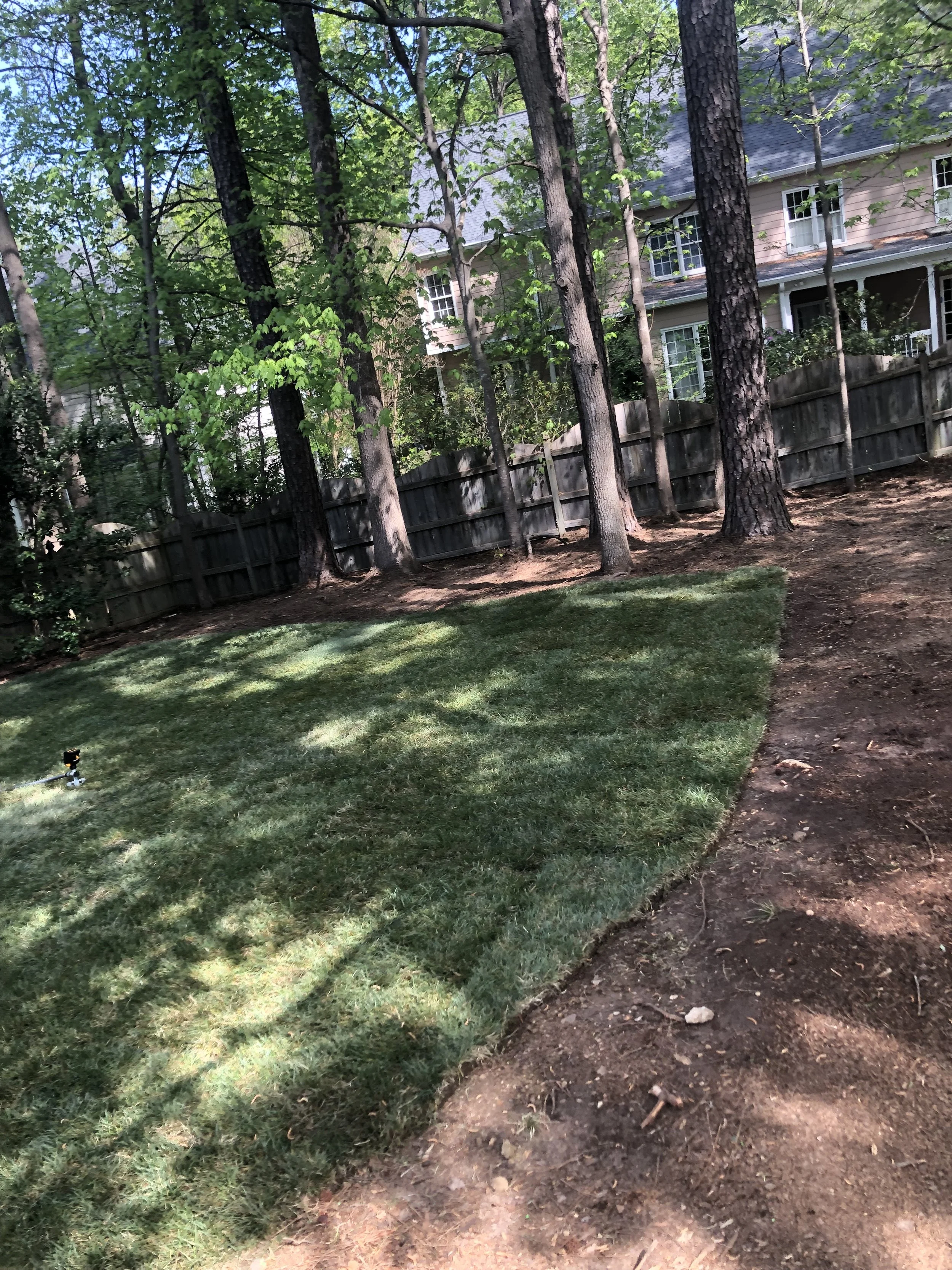 A backyard area with a partially completed or renovated lawn, surrounded by a wooden fence, tall trees, and a house in the background with siding and multiple windows.