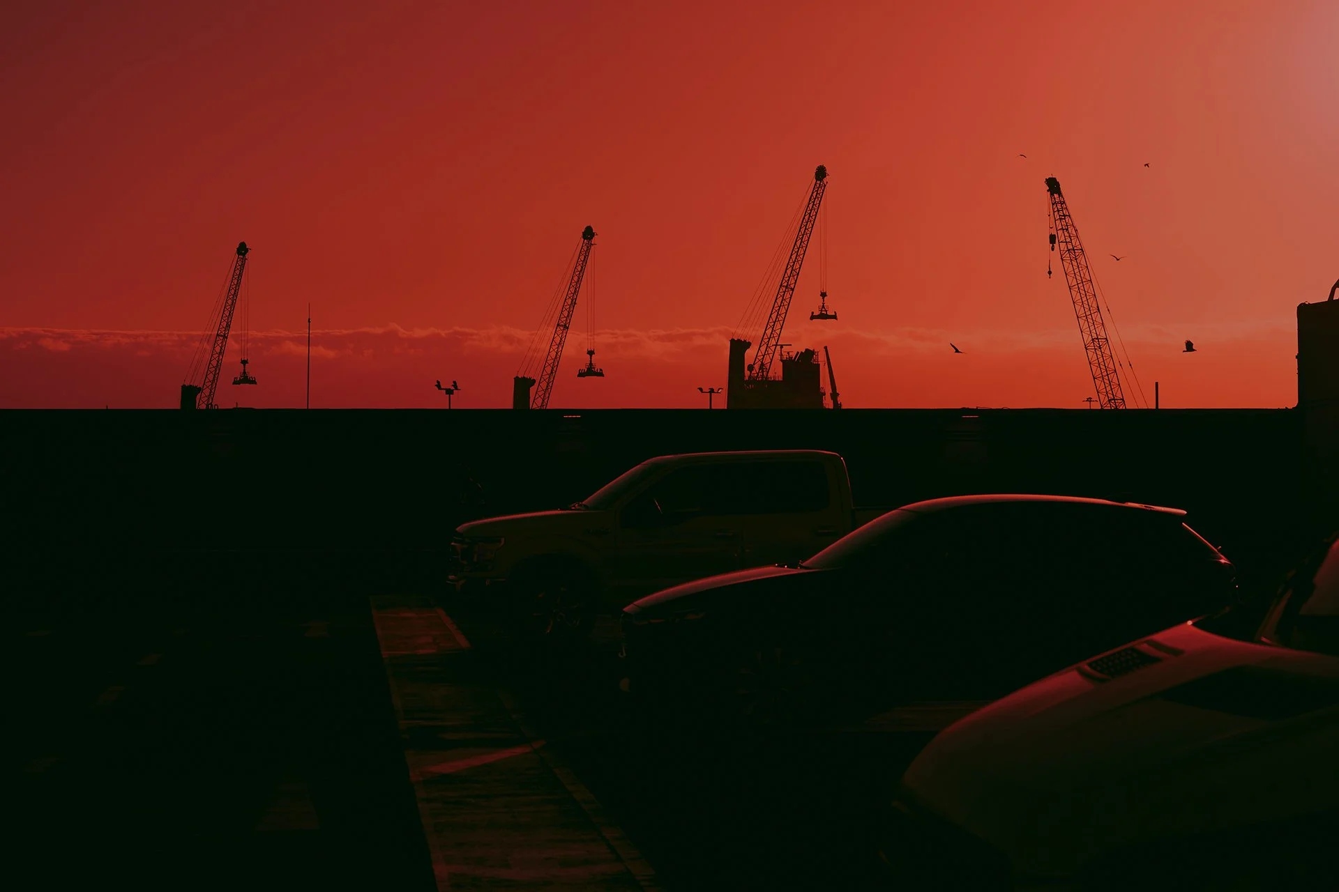 Silhouetted construction cranes and parked cars against a red-orange sunset sky with birds flying.