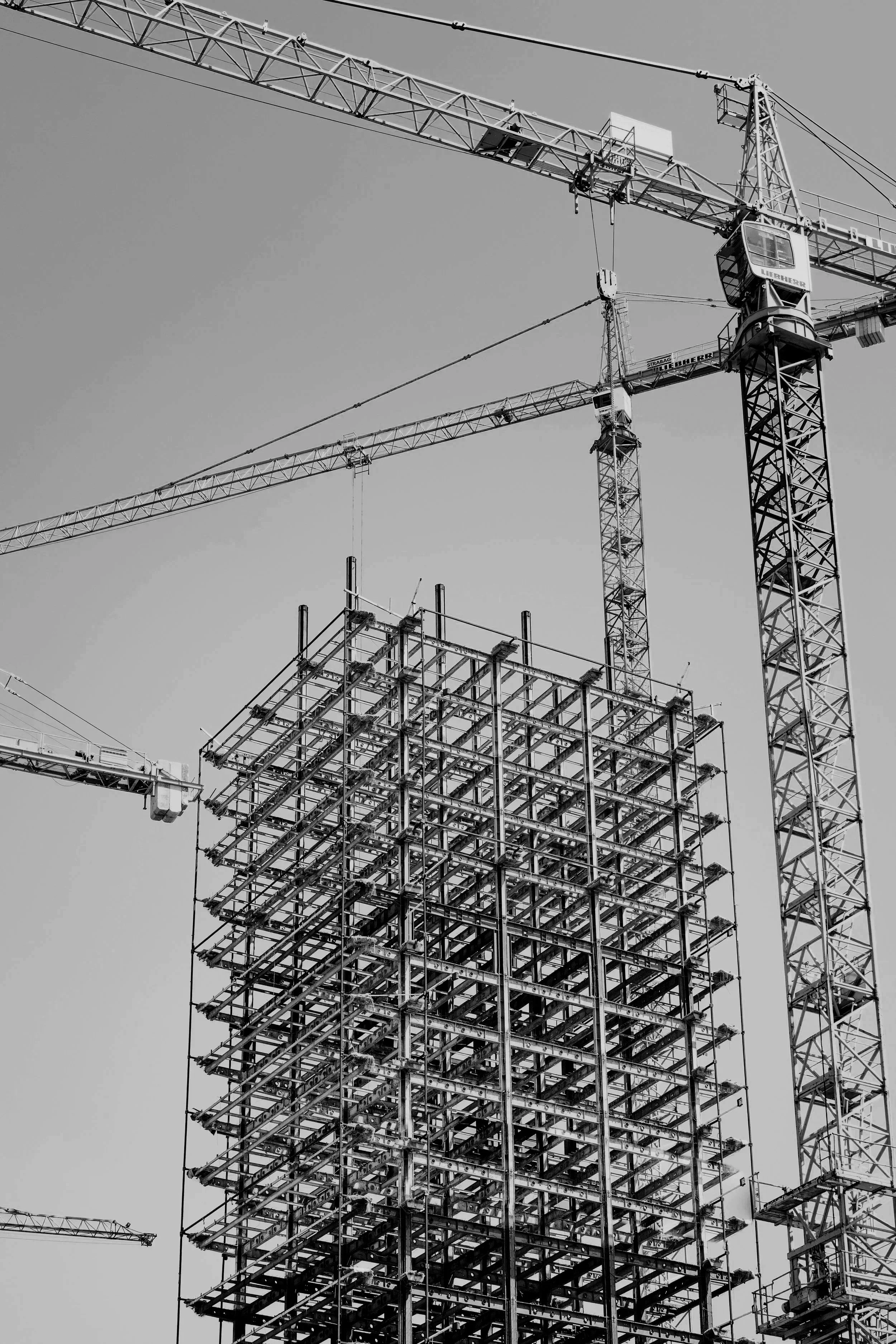 Construction site with multiple cranes lifting metal framework structures against a clear sky.