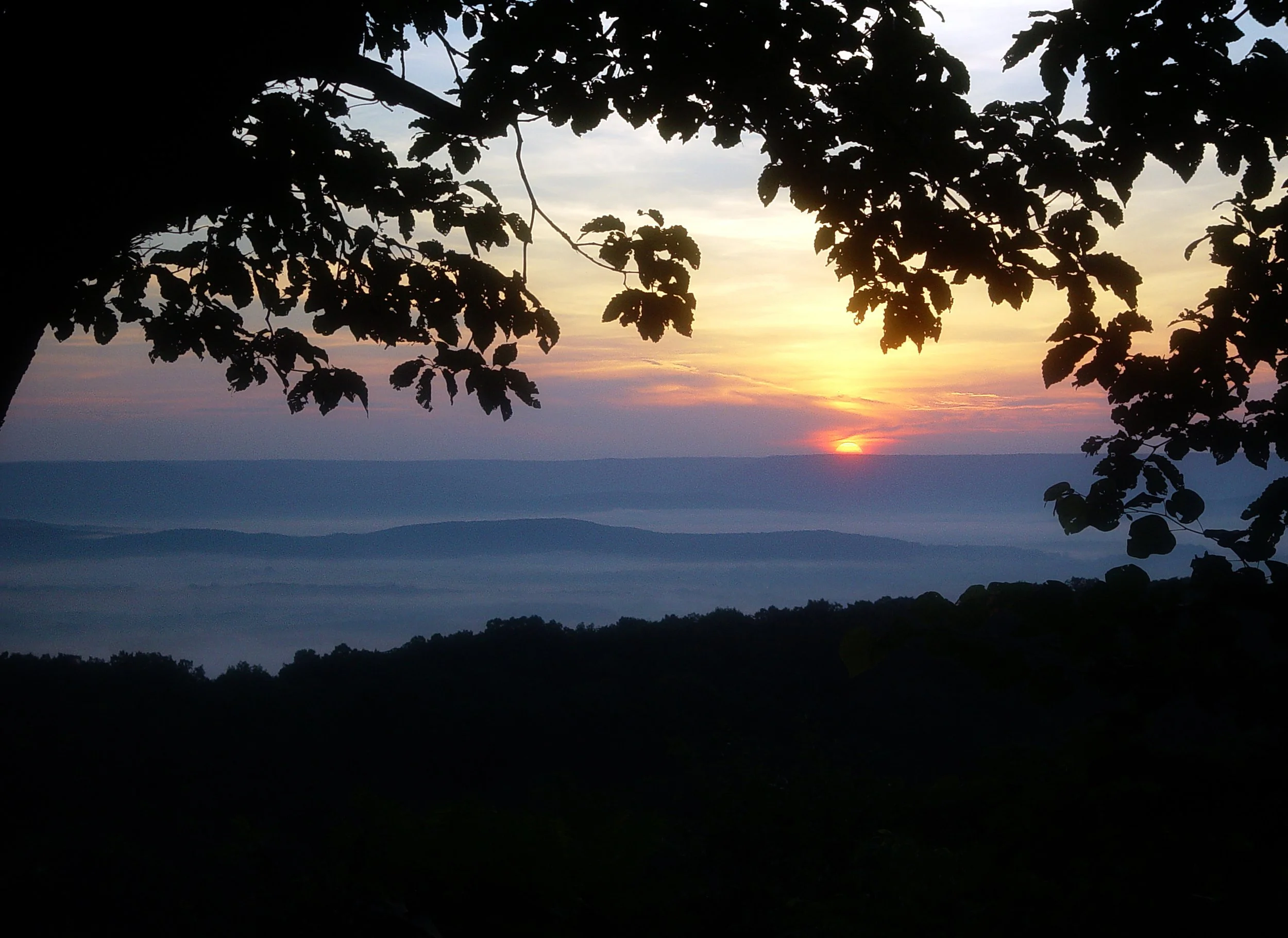 Sunset over a mountain landscape seen through the silhouette of tree branches and leaves.