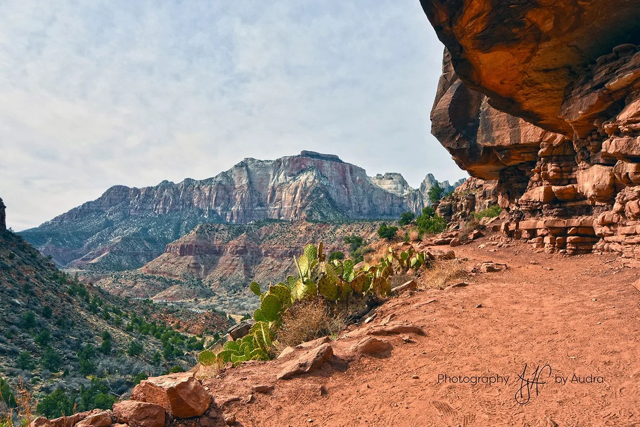 Zion WM_150DPI.jpg