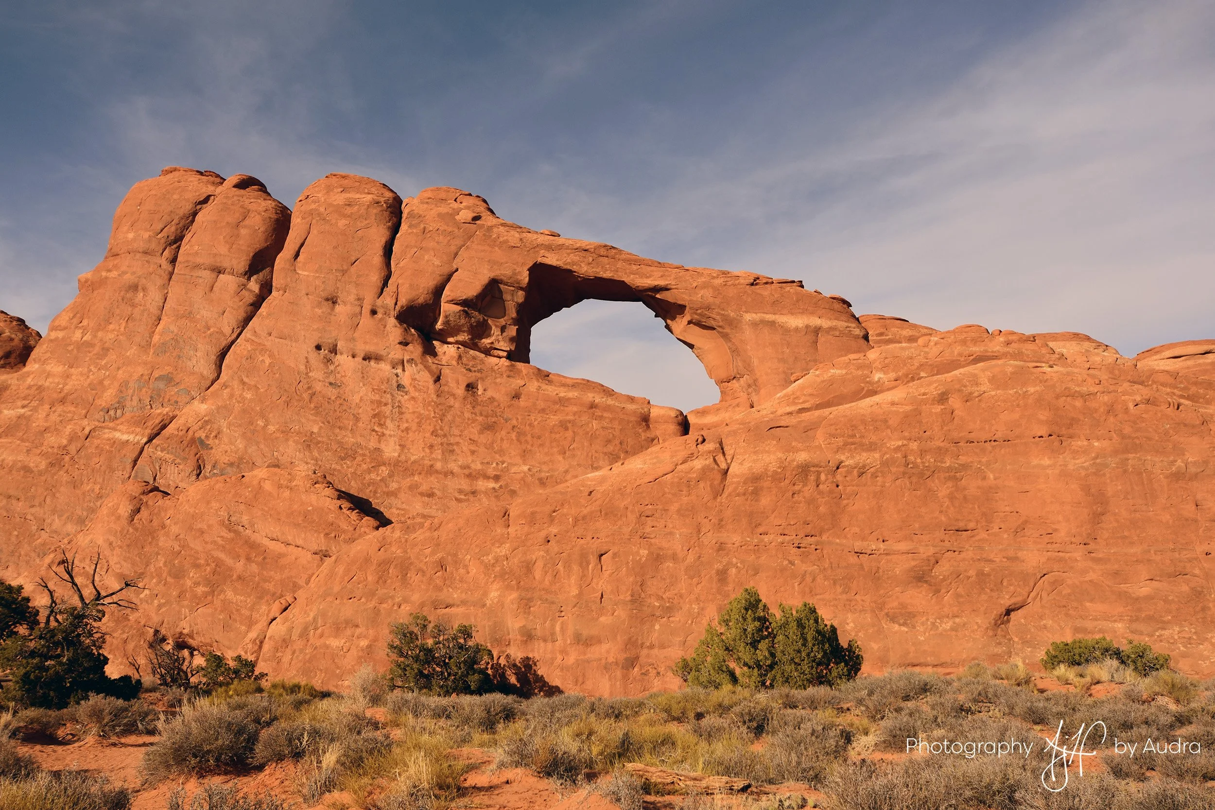 Skyline Arch Arches NP_WM 150DPI.jpg