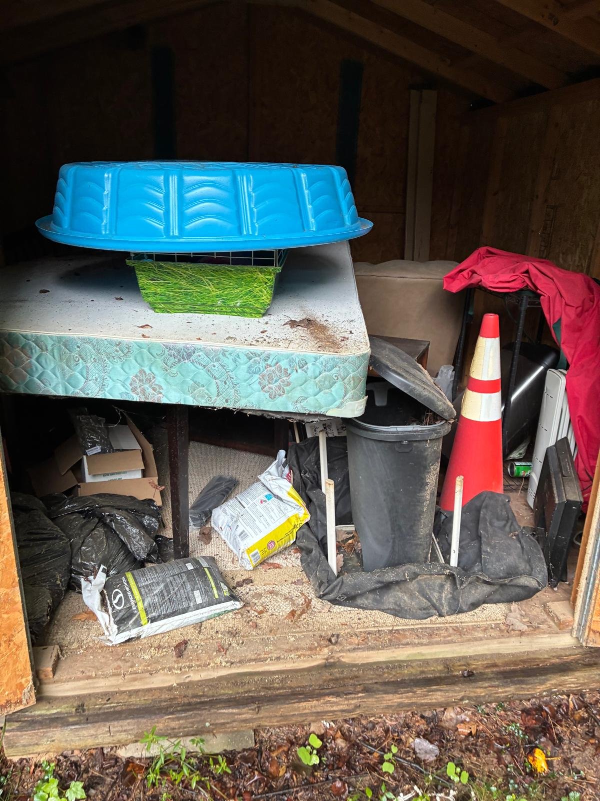 Cluttered shed interior with a mattress, blue plastic storage bin, trash bags, a traffic cone, and miscellaneous items scattered on the floor and table.