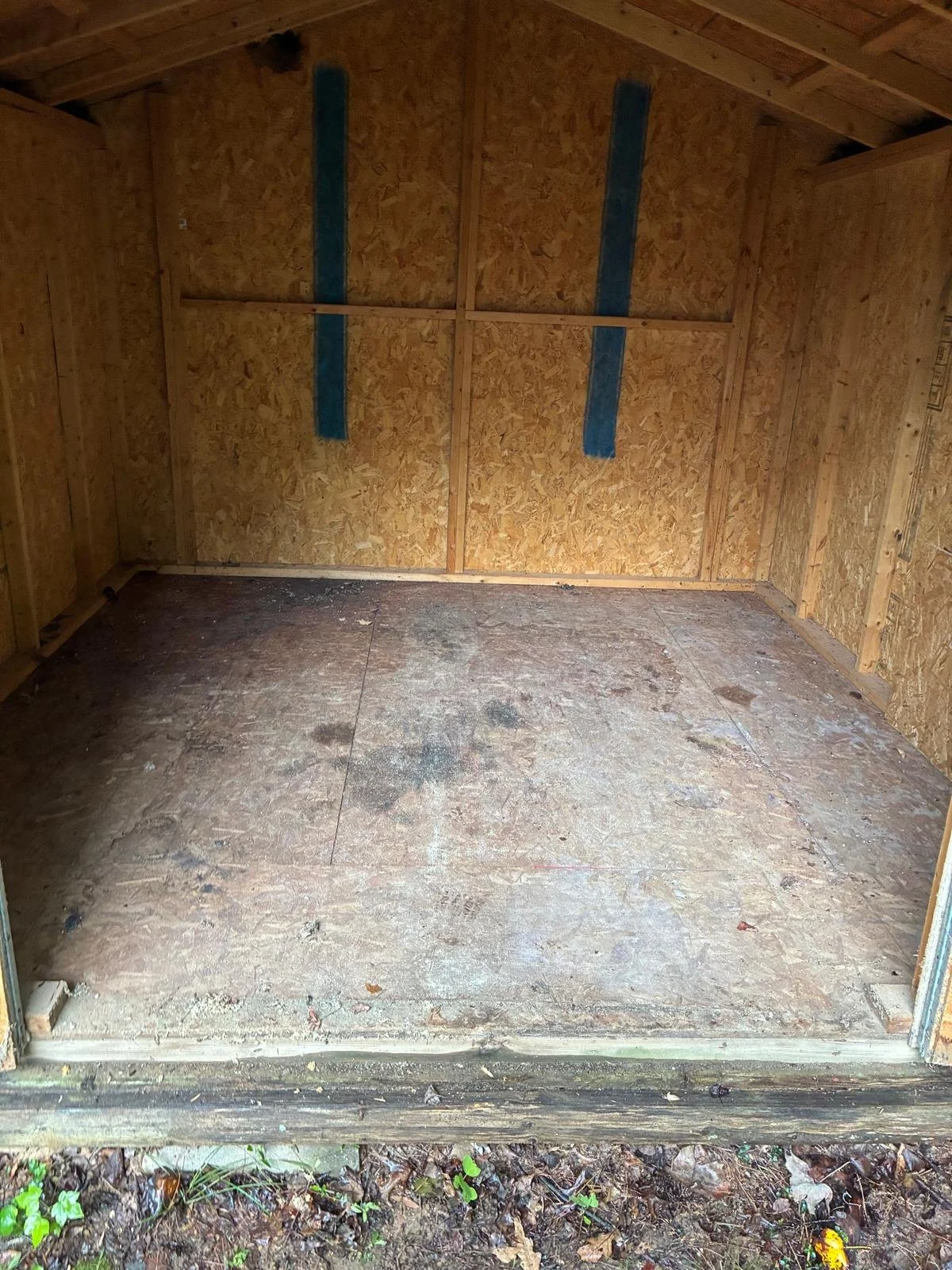 Empty wooden shed with plywood walls and a unfinished wooden floor, outside ground with small plants and leaves.