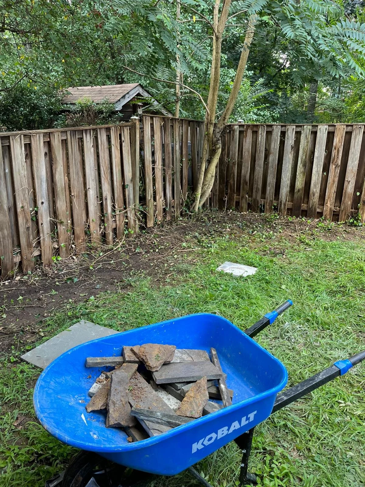 A blue wheelbarrow filled with rocks and bricks in a backyard with a wooden fence, tree, and construction supplies.