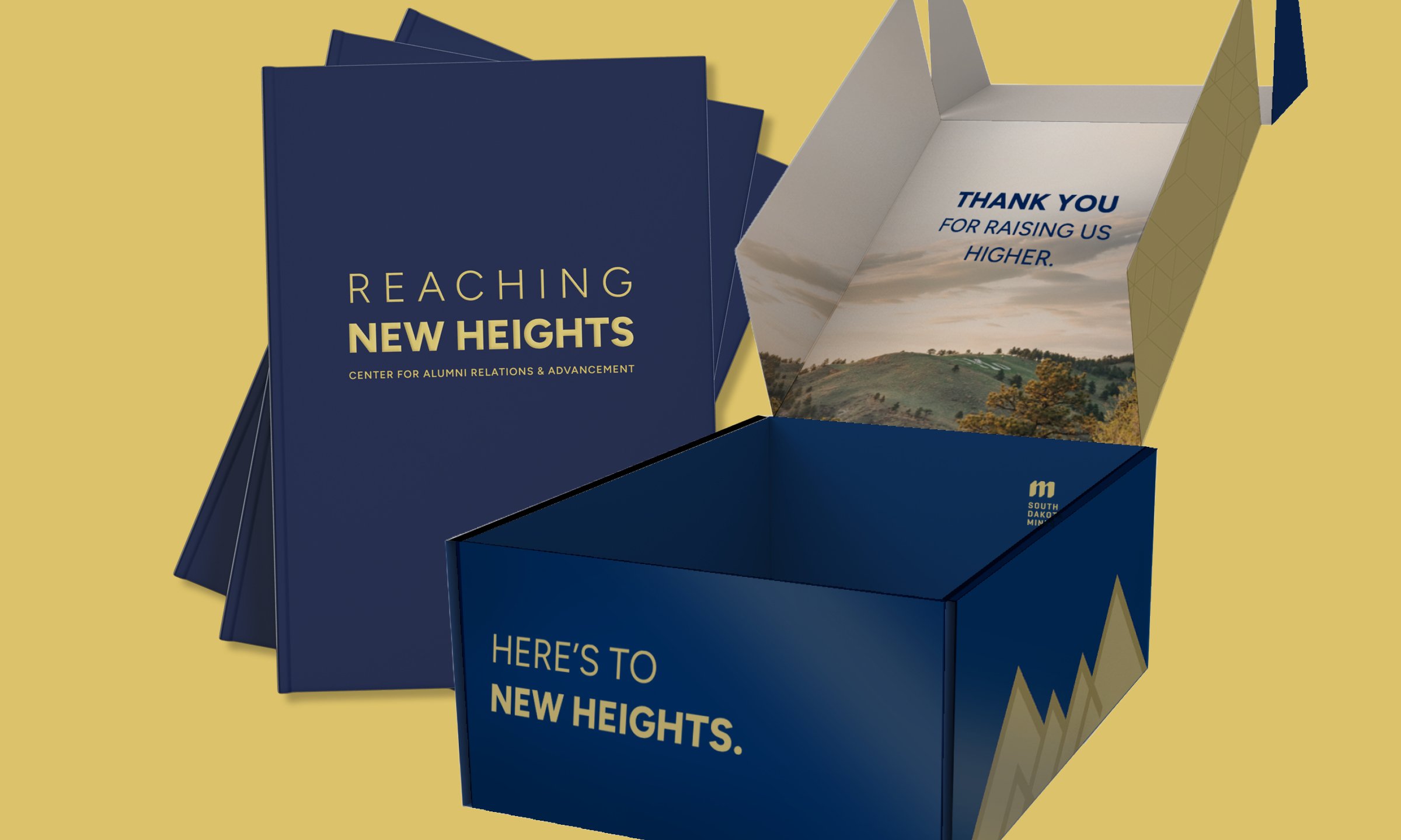 Box and Impact Booklet from New Heights Campaign