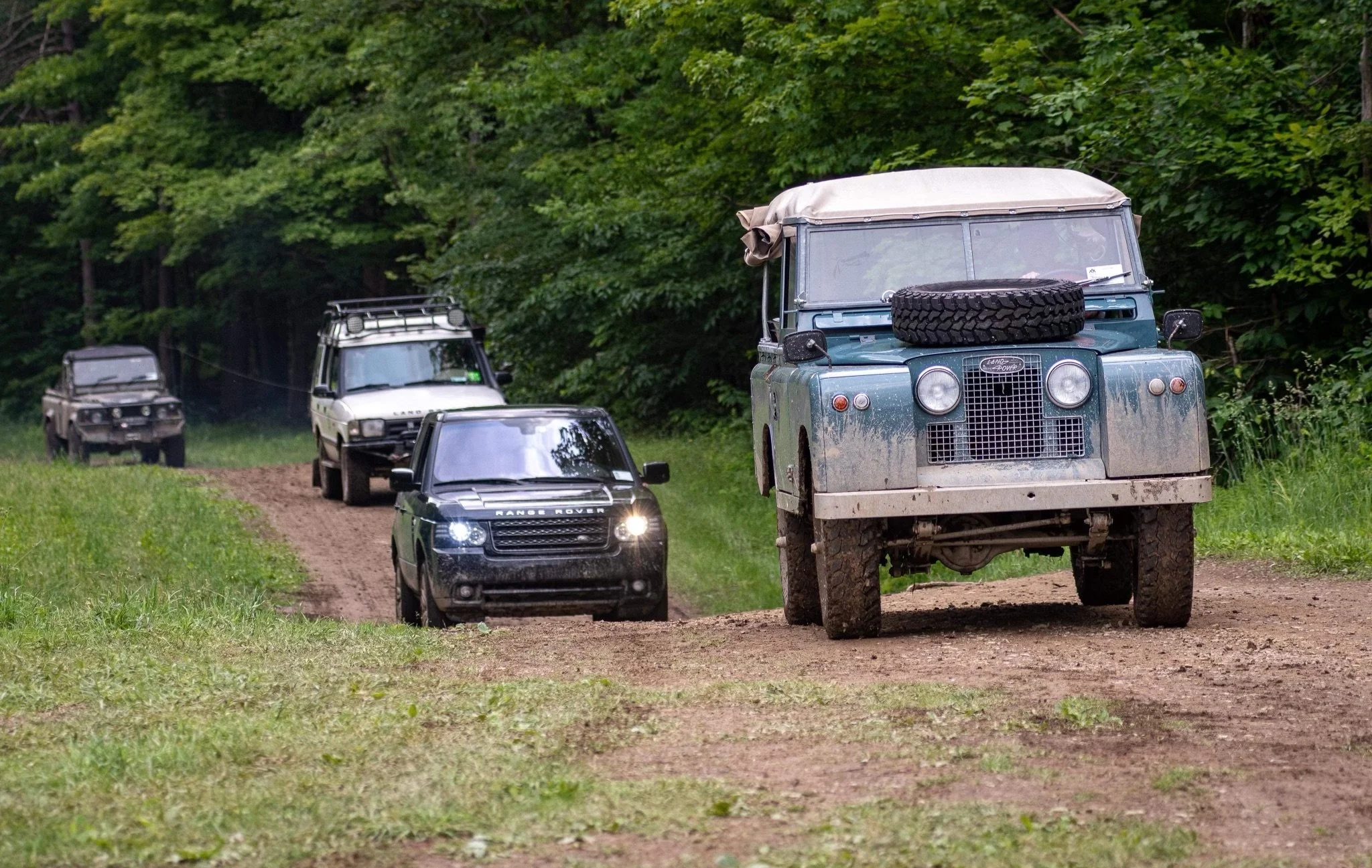 A convoy of four off-road vehicles traveling on a dirt path through a lush green forest.