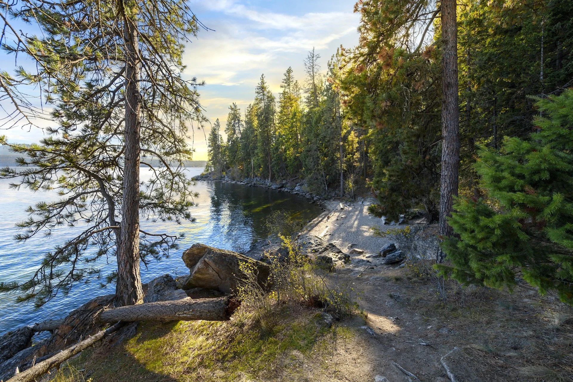 A scenic view of a forested lakeshore with tall green pine trees, rocky ground, and a narrow sandy trail. The water is calm and reflects the sky, with a distant shoreline visible.