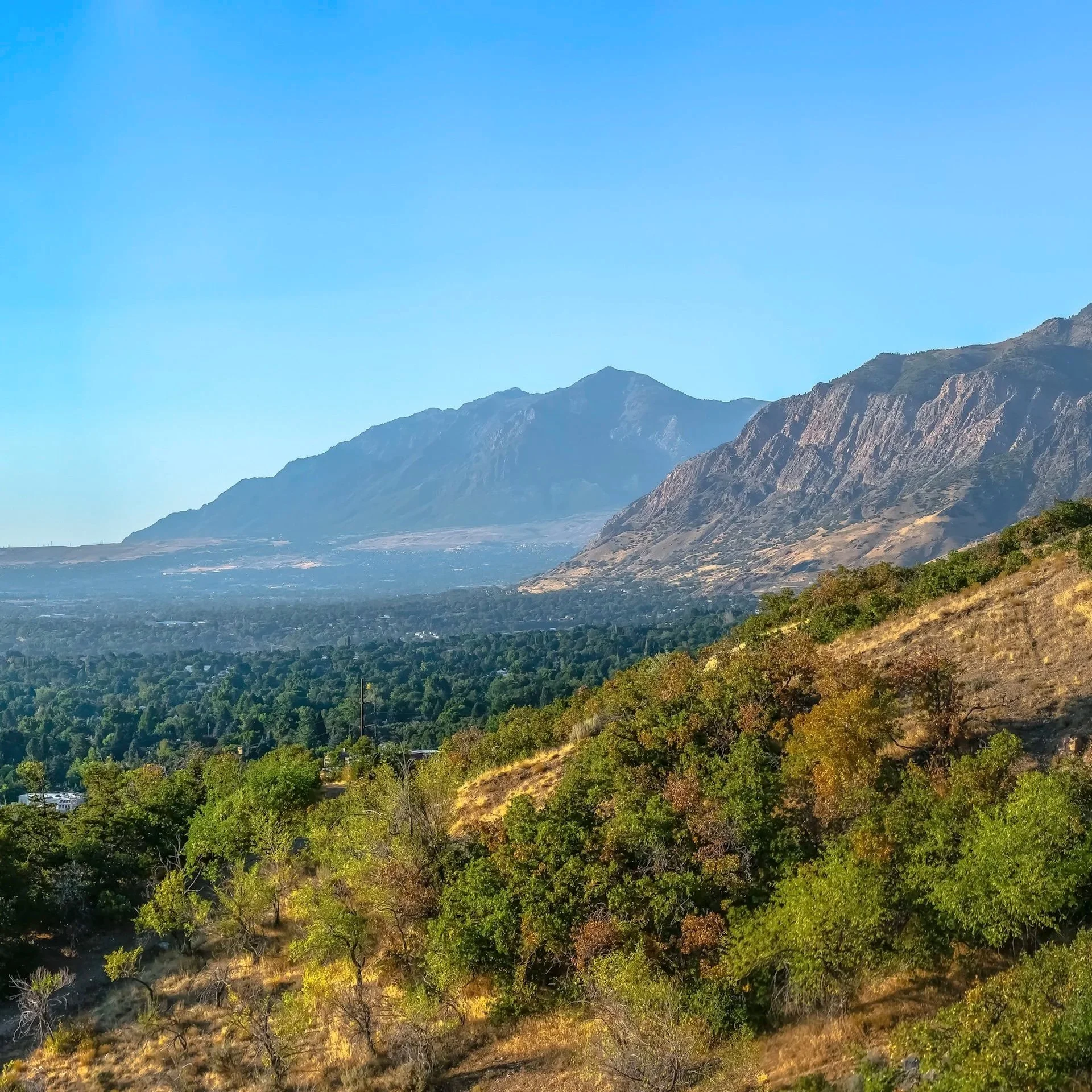 Scenic landscape of a mountain range under a clear blue sky with a lush green forest in the foreground.
