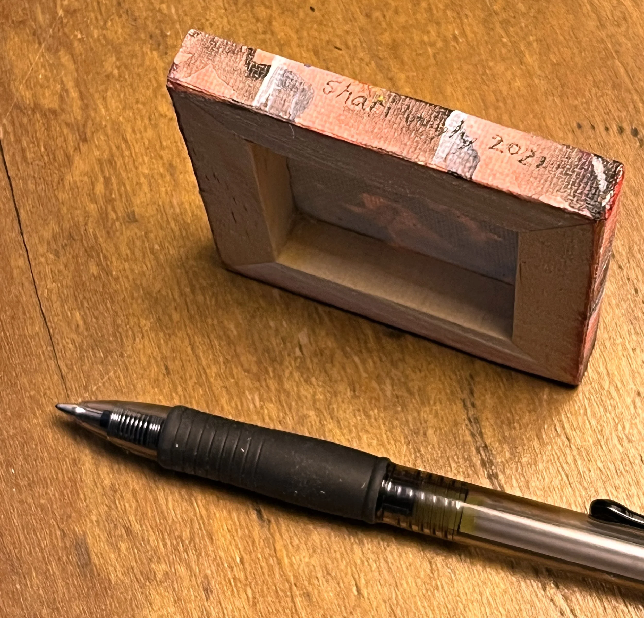Tiny Life Forms 2021 Side with pen for scale.jpeg