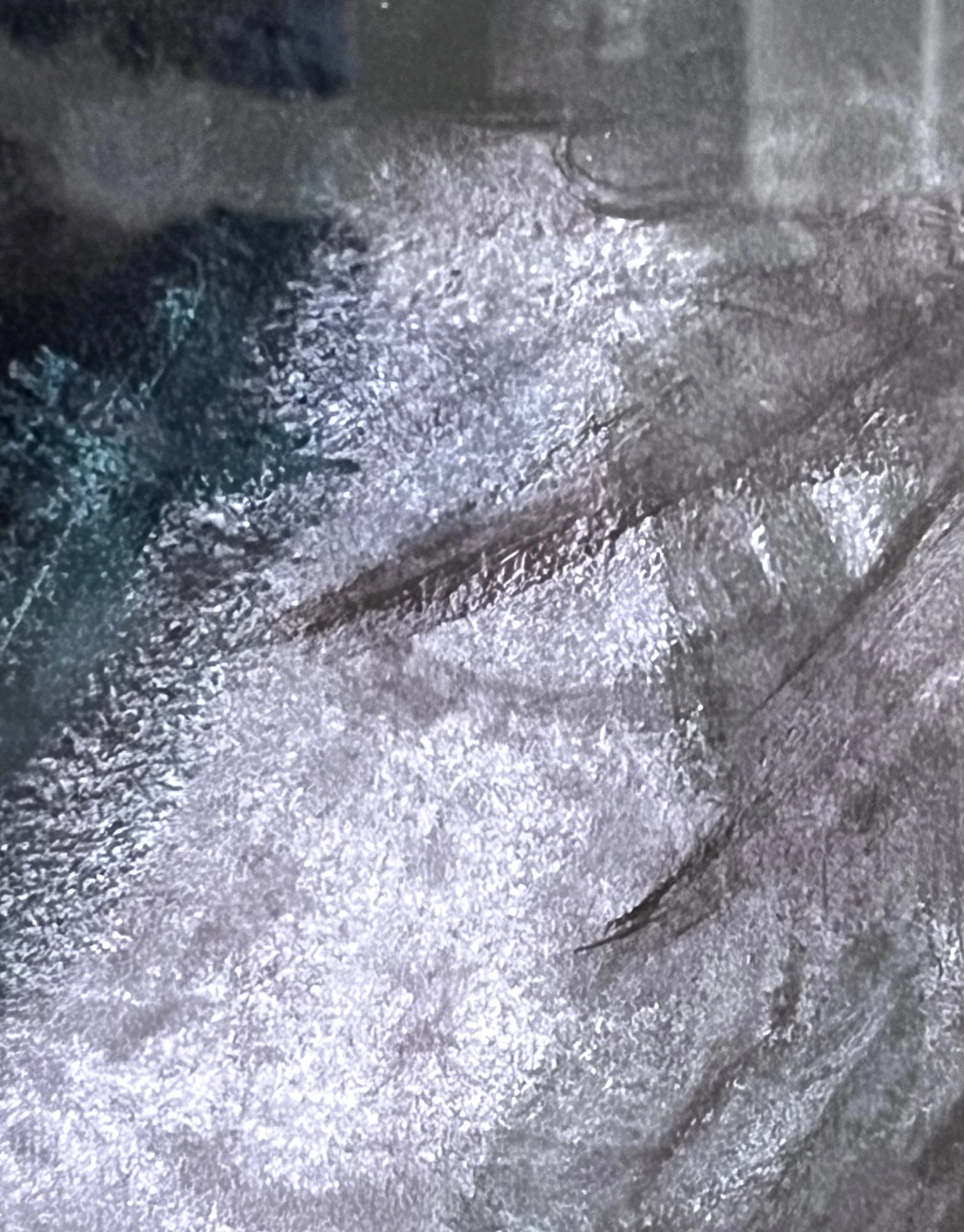 Self Portrait 2026 detail.jpeg