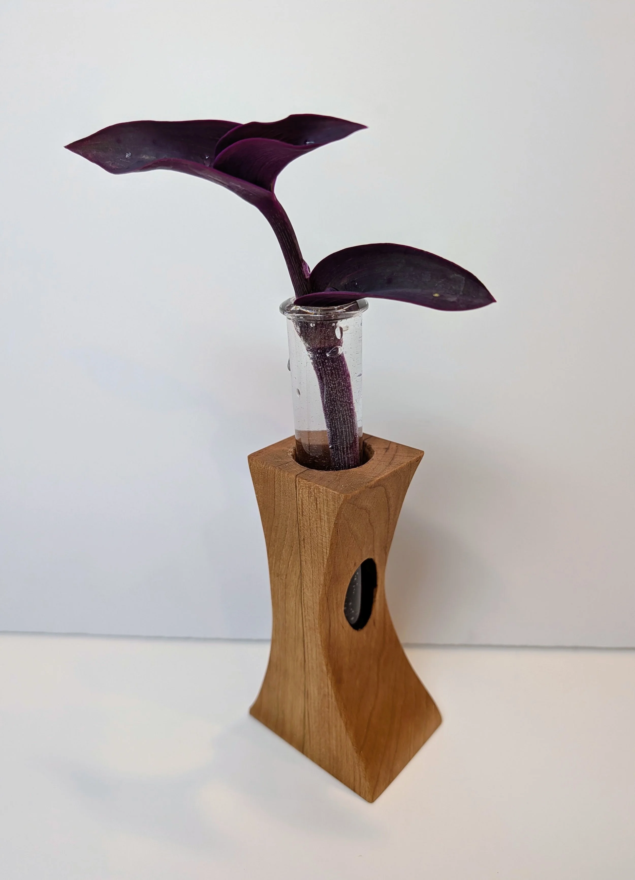 Handcrafted Wood and Glass Propagation Vase