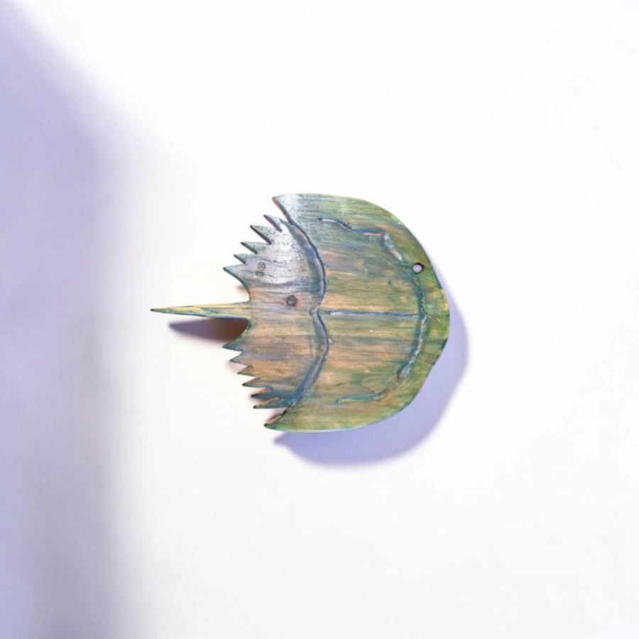 Handcrafted Horseshoe Crab Wall Décor