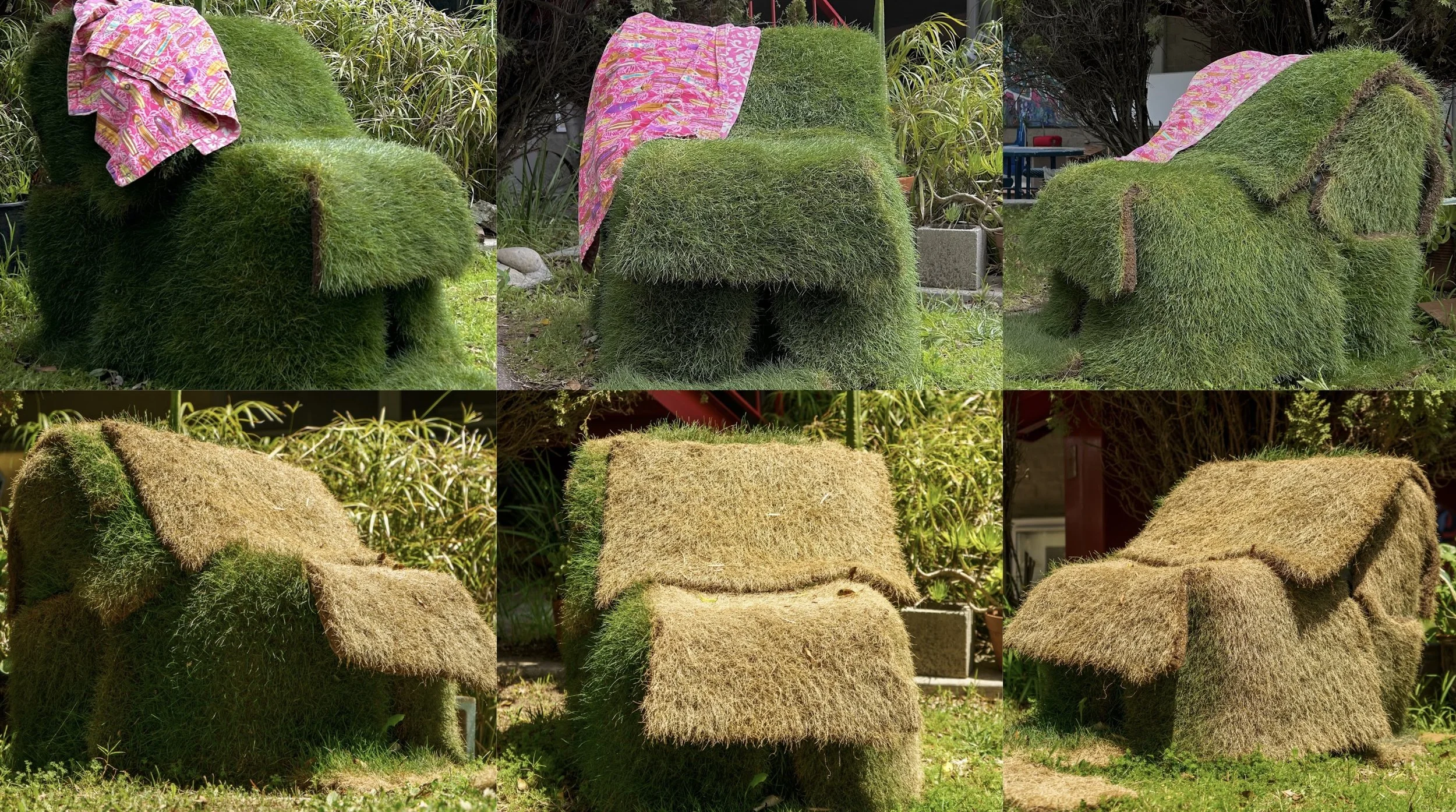 "Grass Chair" 2024