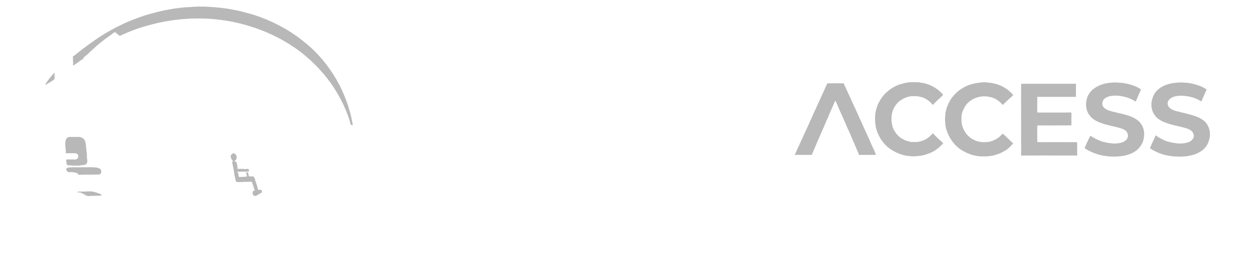 Total Access Mobility logo.