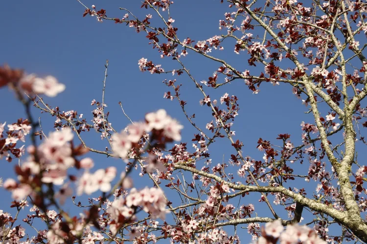 X_97A8073.webp
