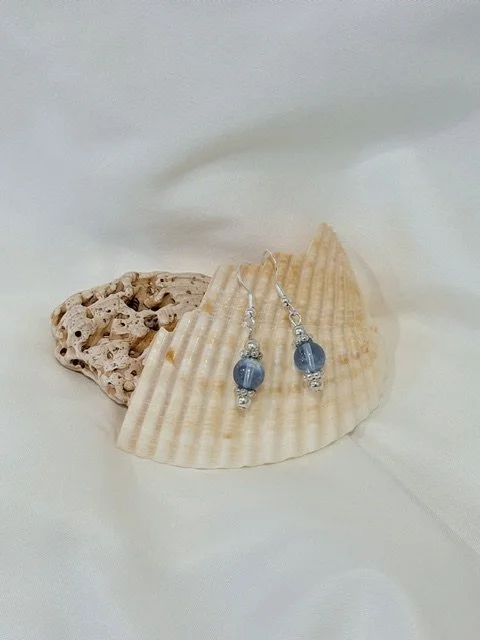 Elegant Blue and Silver Earrings