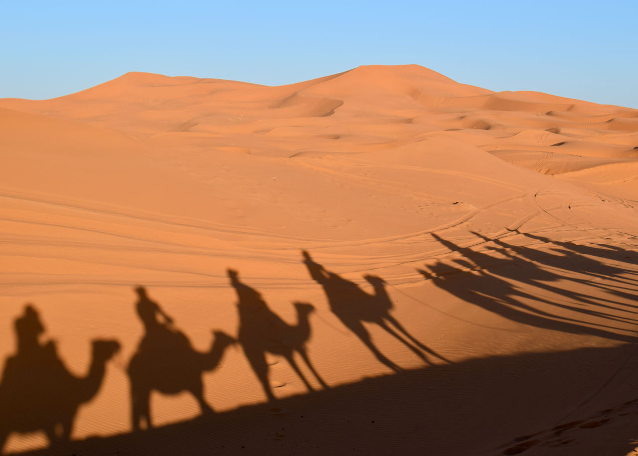 Long shadows of a camel caravan crossing the orange dunes of Erg Chebbi.