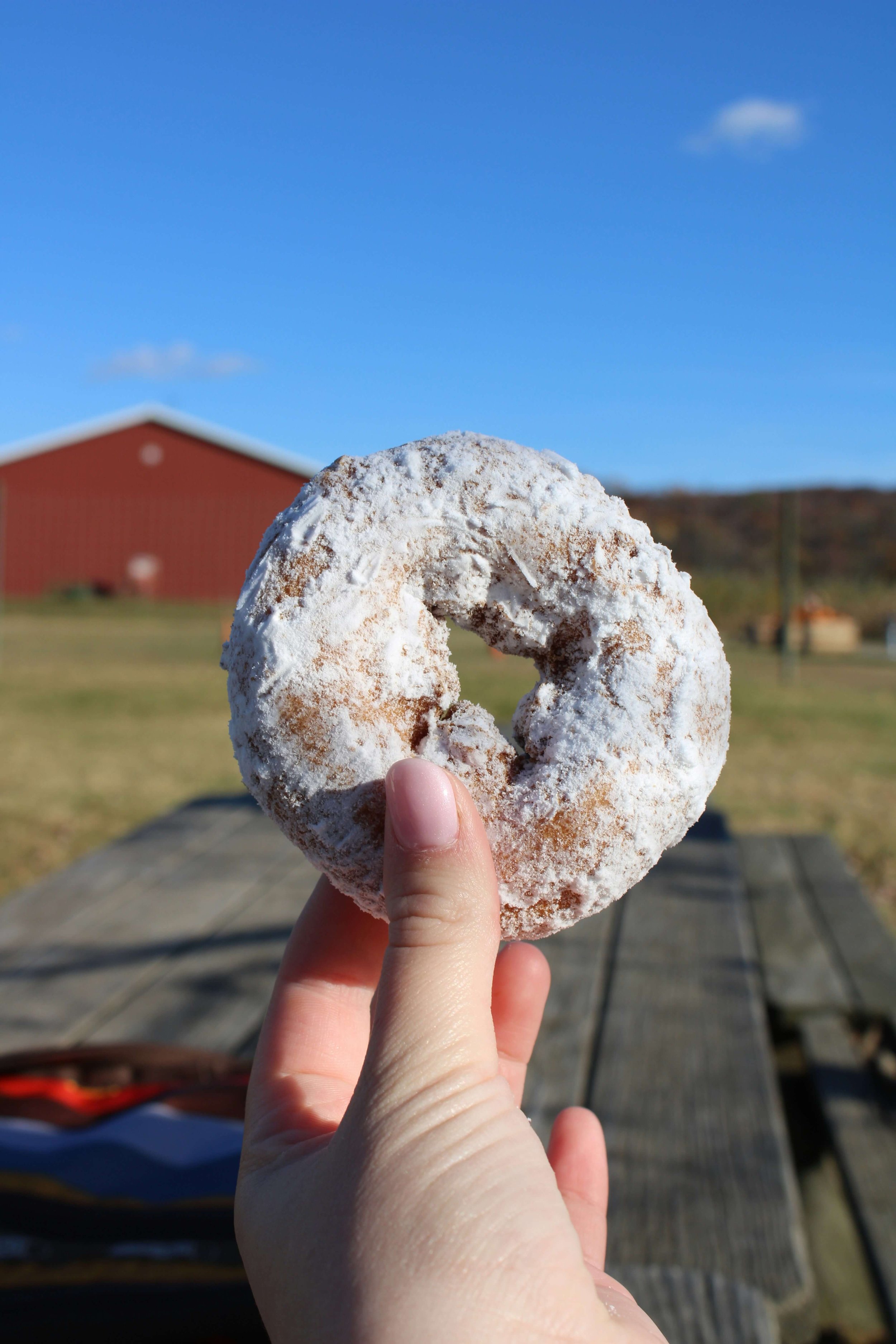 The Best Apple Cider Donuts in New England