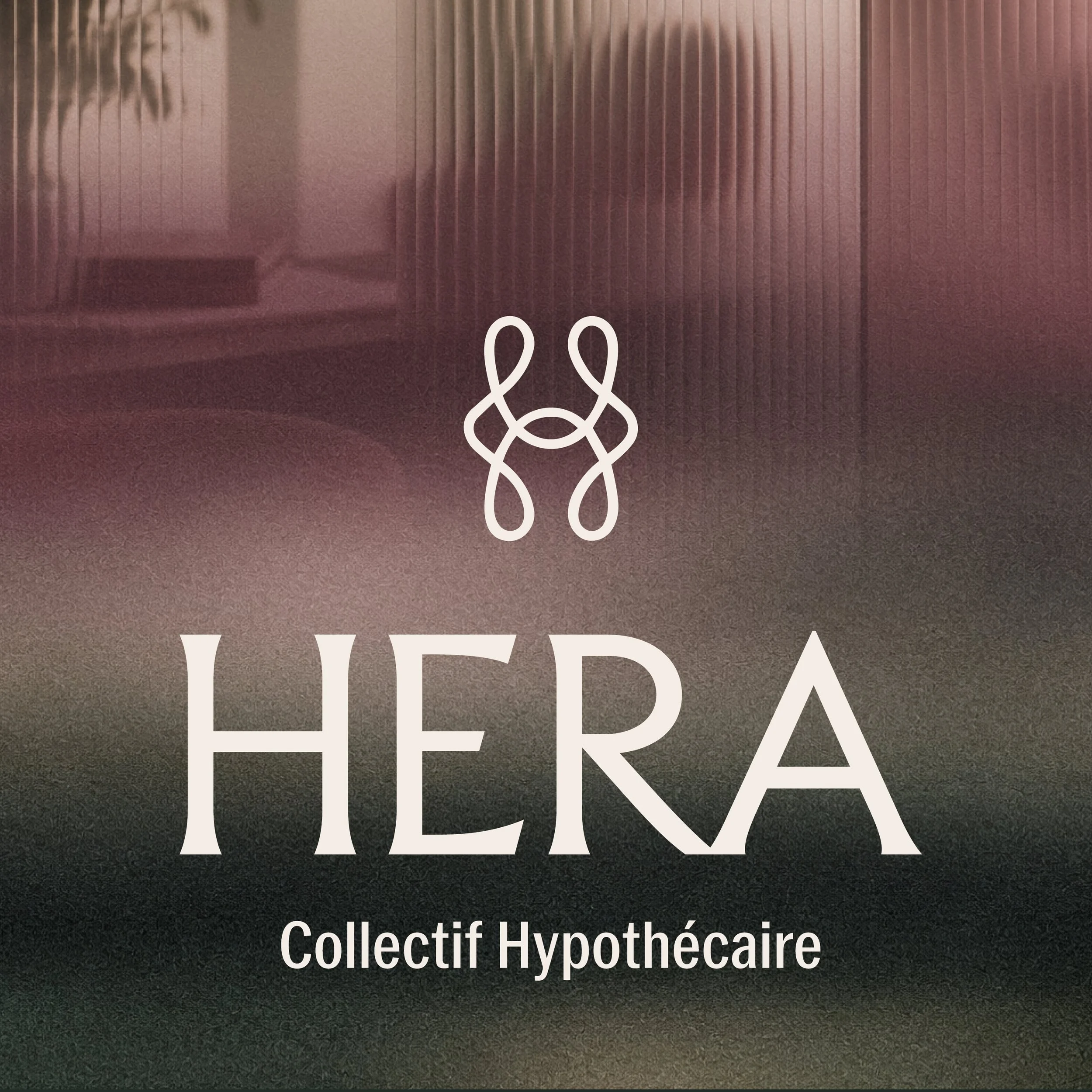 Logo HERA texture