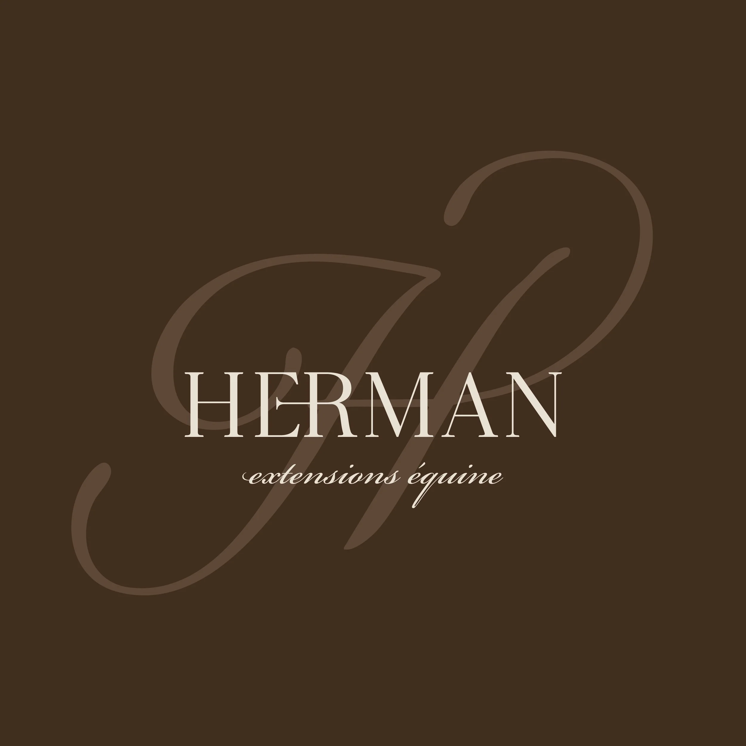 Logo Herman brun, H fantôme