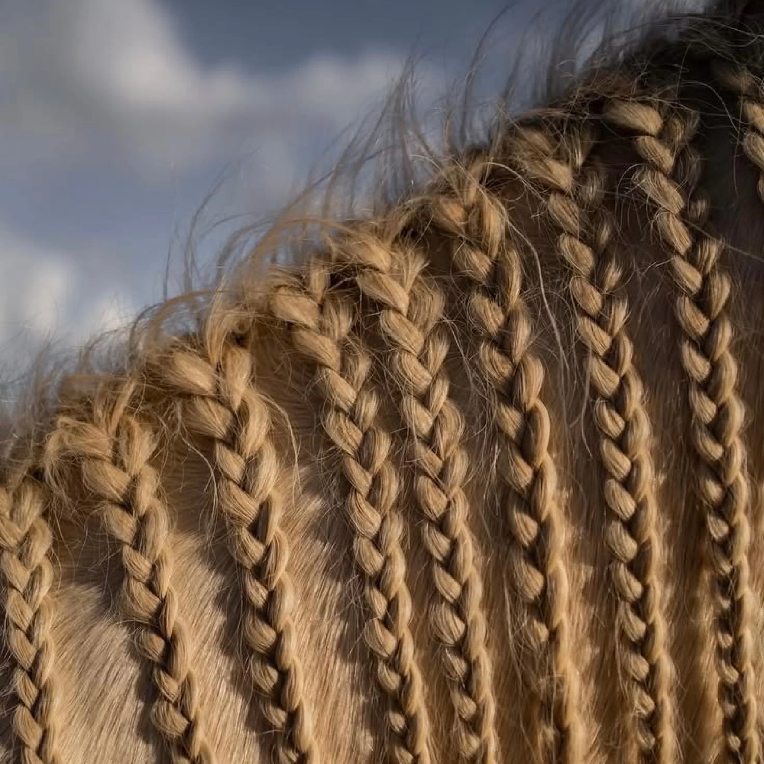 Cheveux tressés sur fond de ciel