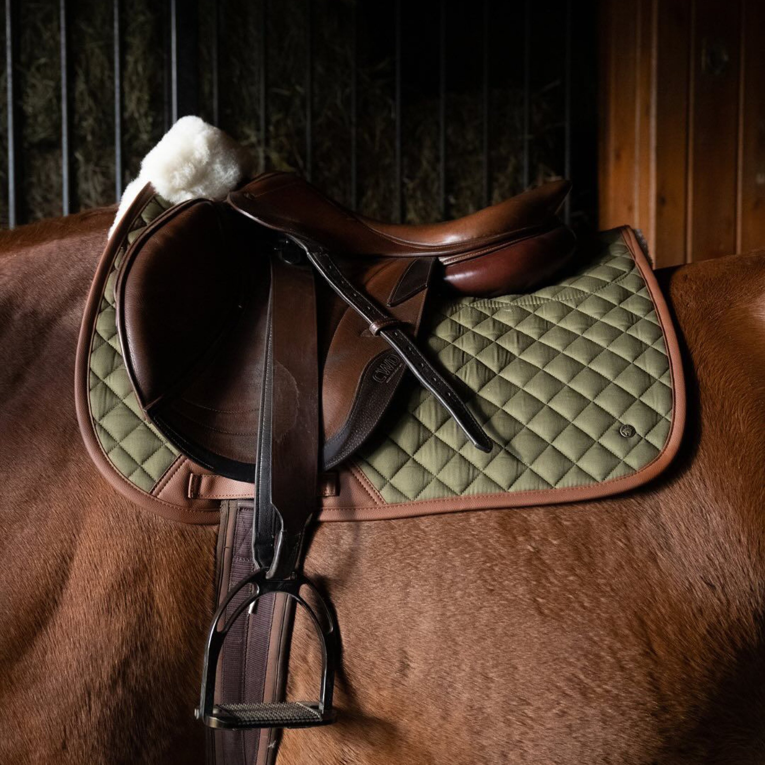 Selle sur un cheval, tapis olive