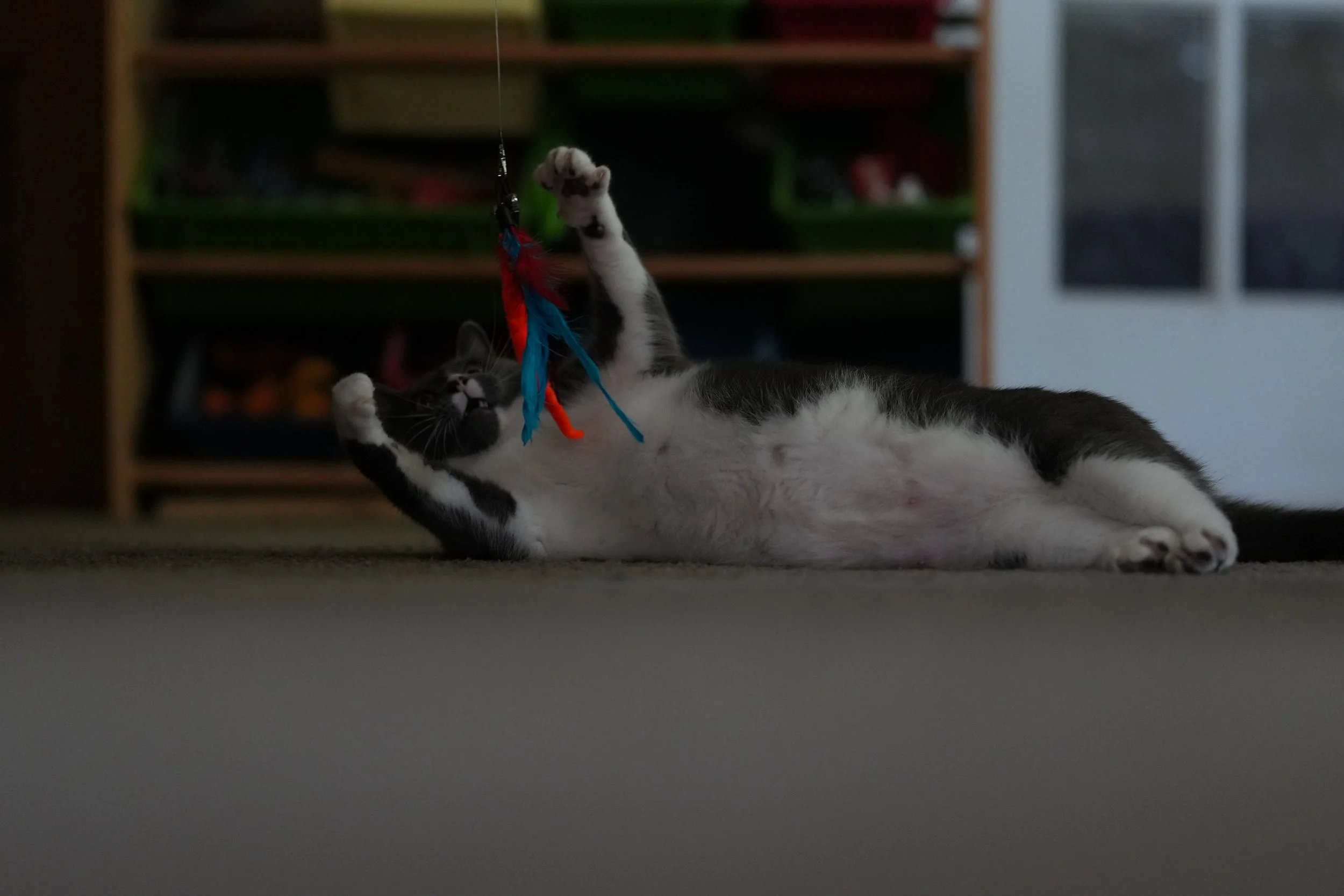 DSC02271.JPG
