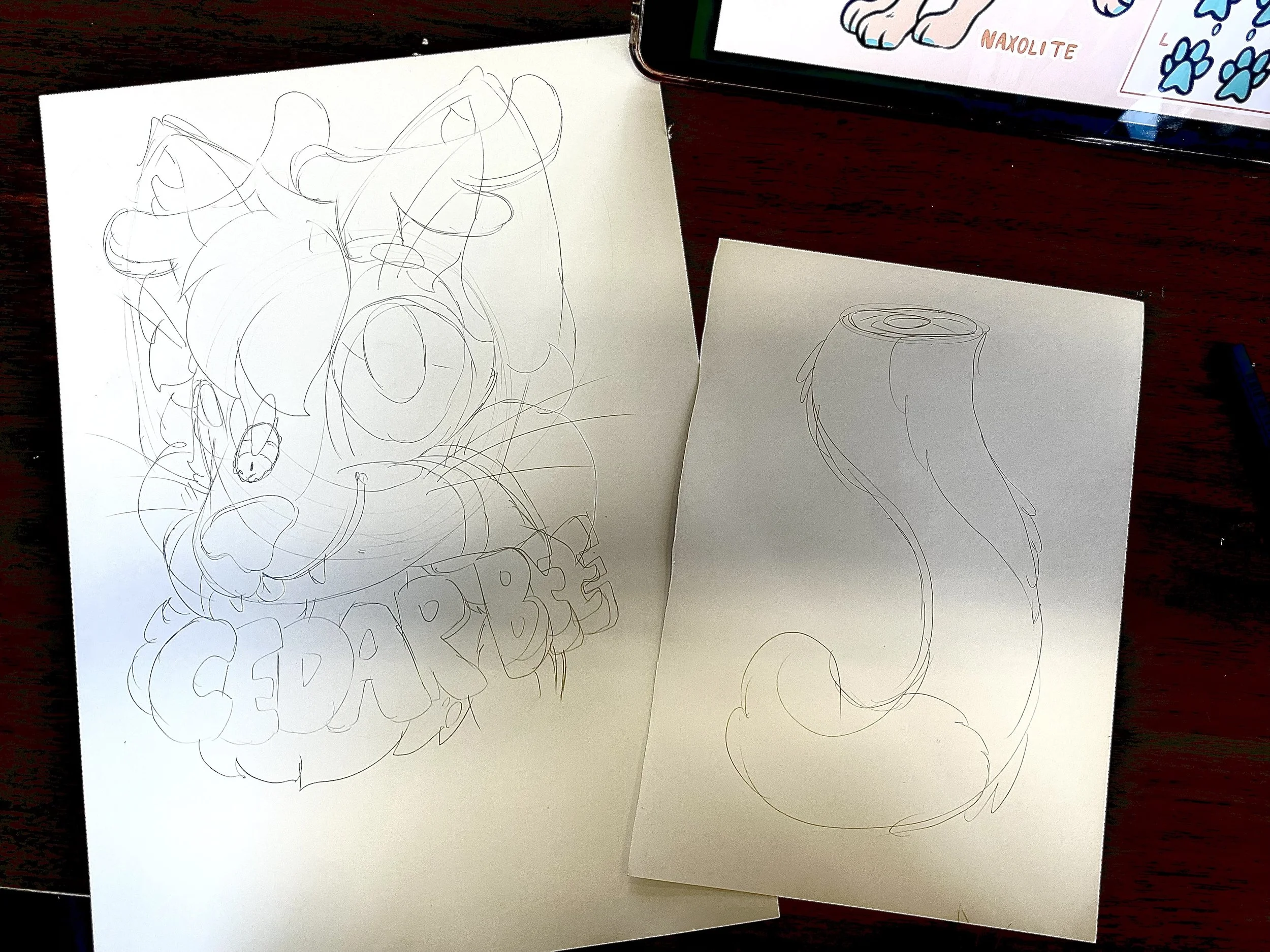 Two sheets of paper with sketch drawings on a dark wooden surface. One sheet depicts a detailed sketch of a cartoon character.