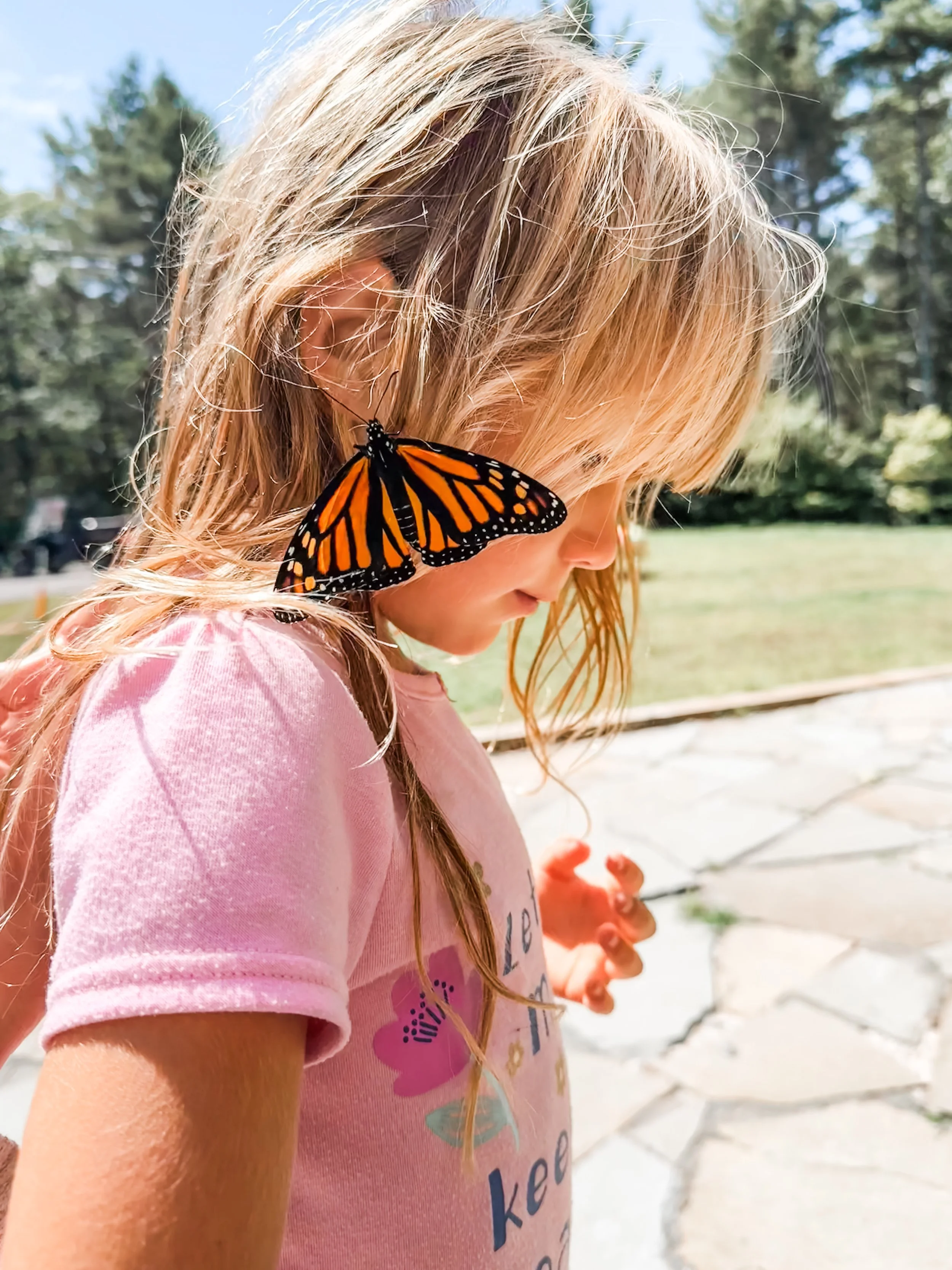 5 Simple Ways to Bring Nature Into Your Busy Homeschool Day