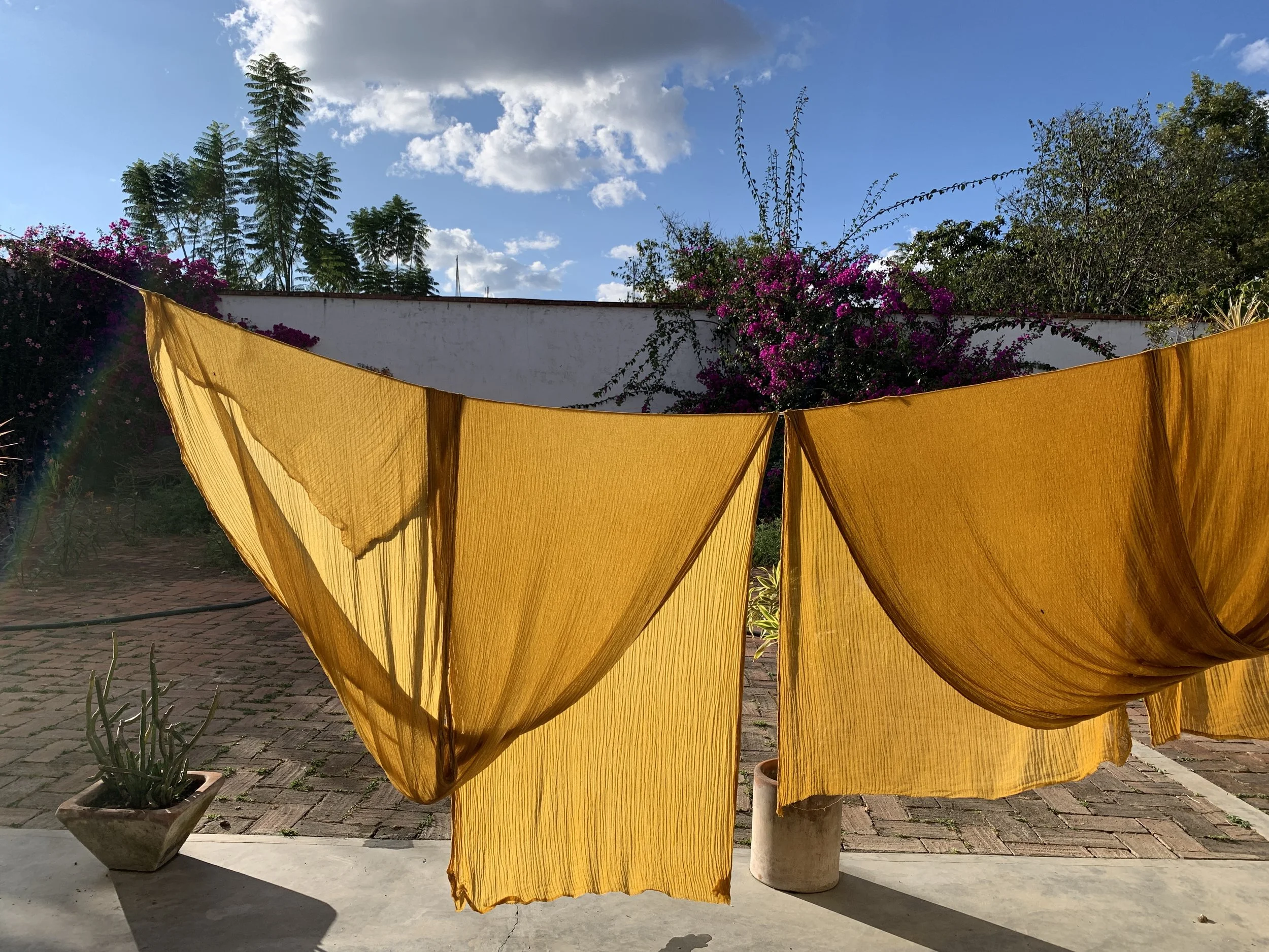 Mexchic exploration of traditional artisanal natural botanical dyes and dying in Oaxaca Mexico, hand dyed pochote ceiba kapok tree seed pod fiber endemic plant cellulose fiber perricon mexican mint marigold añil indigo magnolia rosemary granada pomeg
