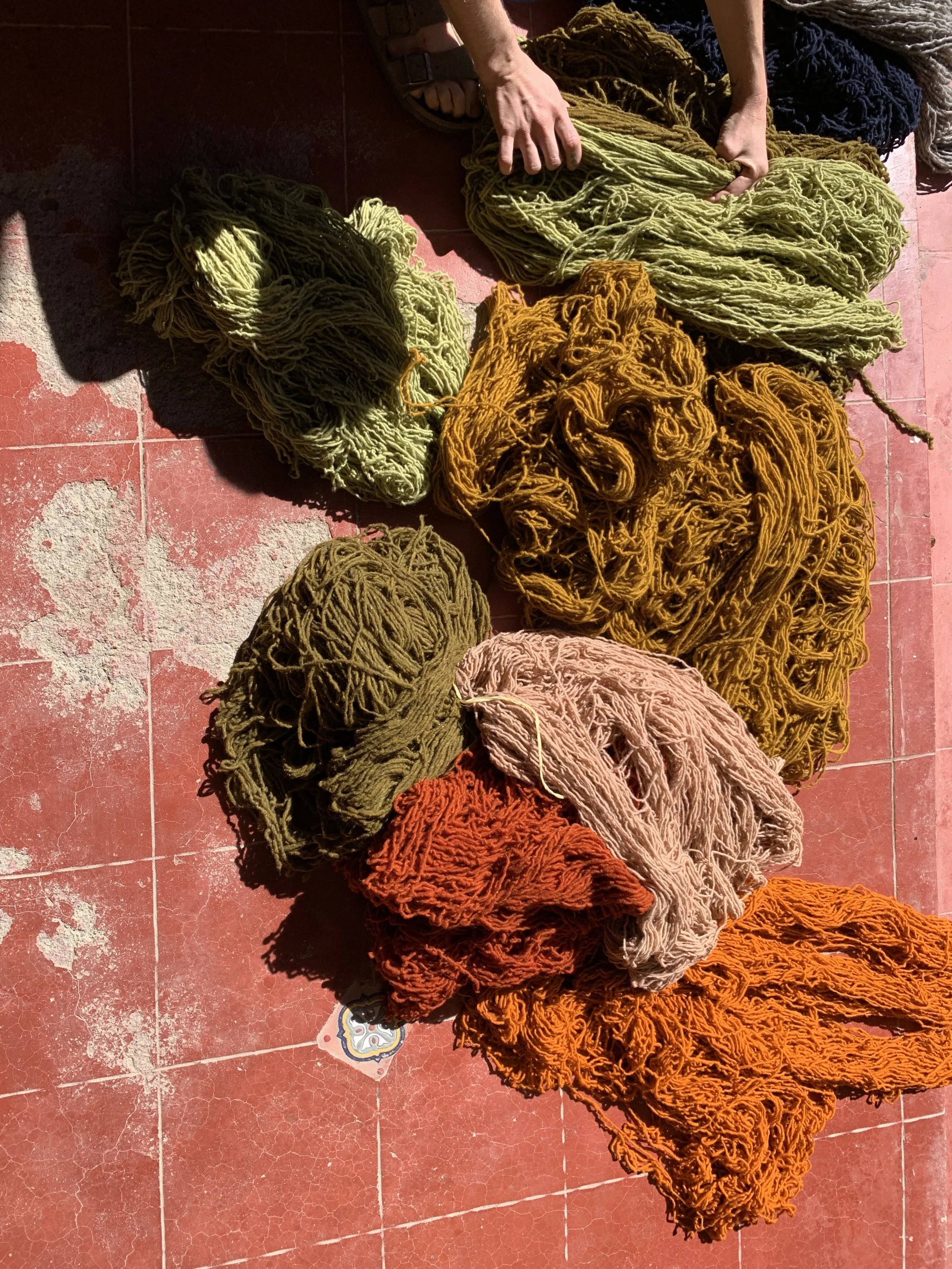 Mexchic exploration of traditional artisanal natural botanical dyes and dying in Oaxaca Mexico, hand dyed pochote ceiba kapok tree seed pod fiber endemic plant cellulose fiber perricon mexican mint marigold añil indigo magnolia rosemary granada pomeg