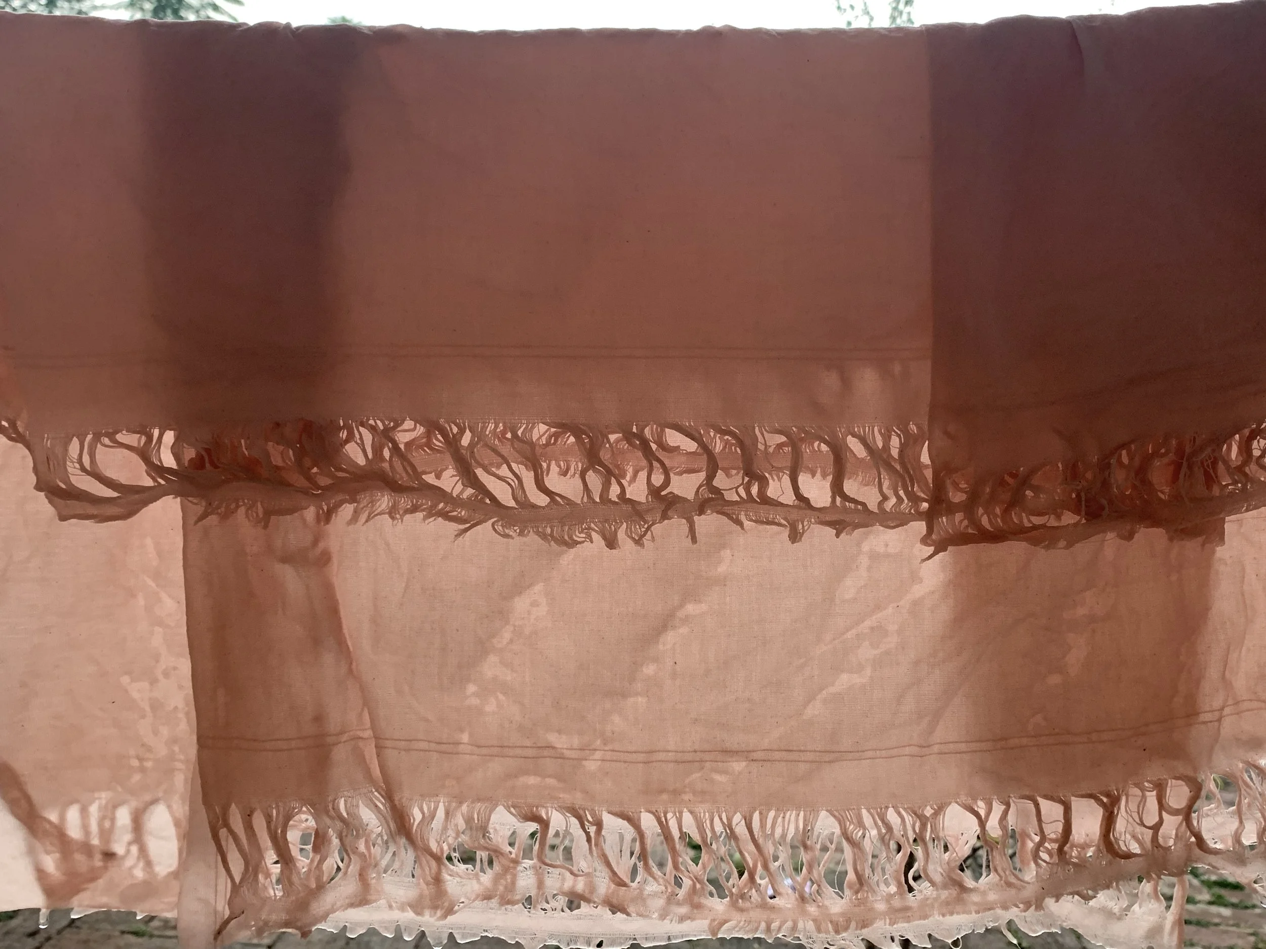 Mexchic exploration of traditional artisanal natural botanical dyes and dying in Oaxaca Mexico, hand dyed pochote ceiba kapok tree seed pod fiber endemic plant cellulose fiber perricon mexican mint marigold añil indigo magnolia rosemary granada pomeg