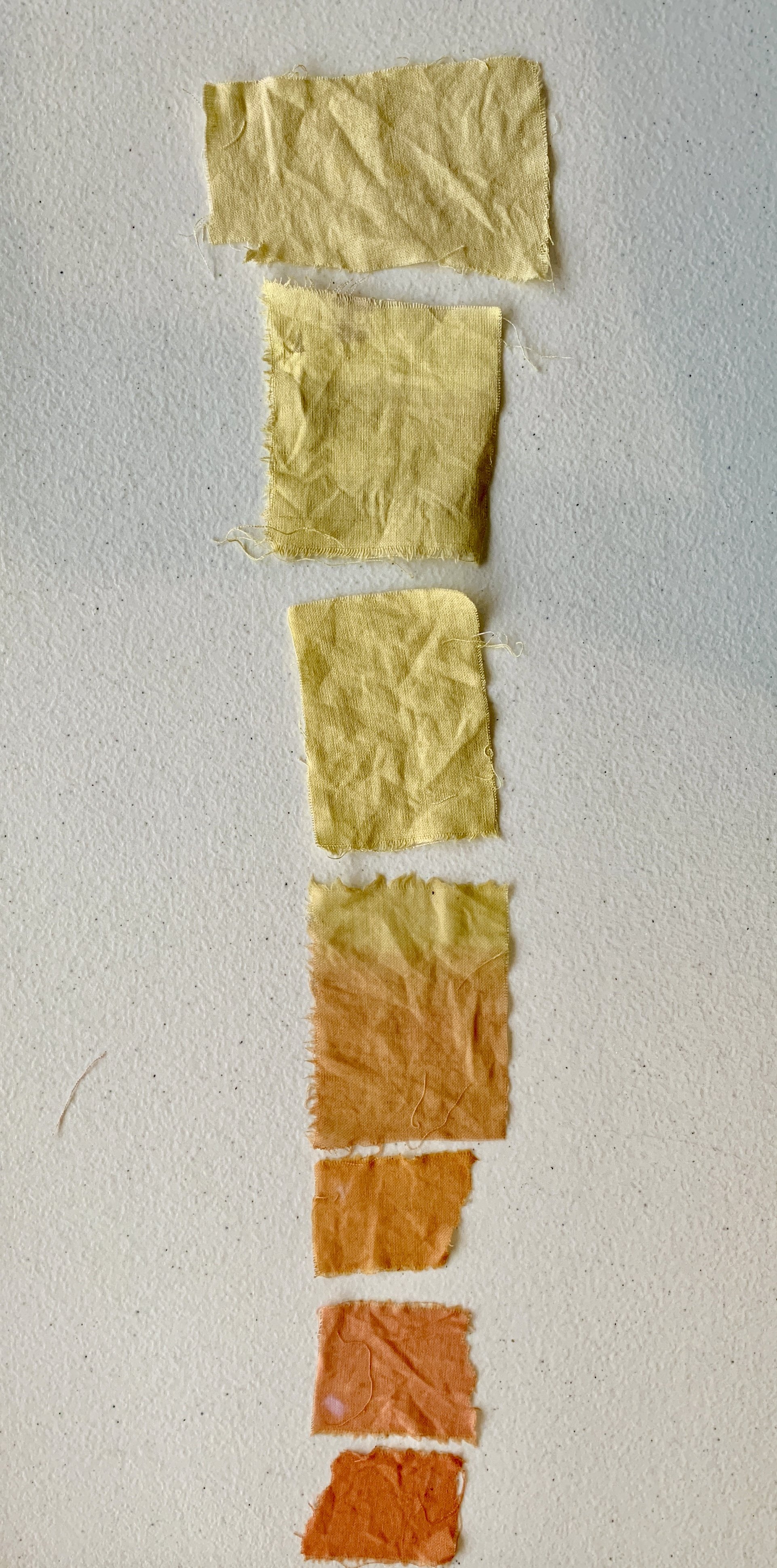 Mexchic exploration of traditional artisanal natural botanical dyes and dying in Oaxaca Mexico, hand dyed pochote ceiba kapok tree seed pod fiber endemic plant cellulose fiber perricon mexican mint marigold añil indigo magnolia rosemary granada pomeg