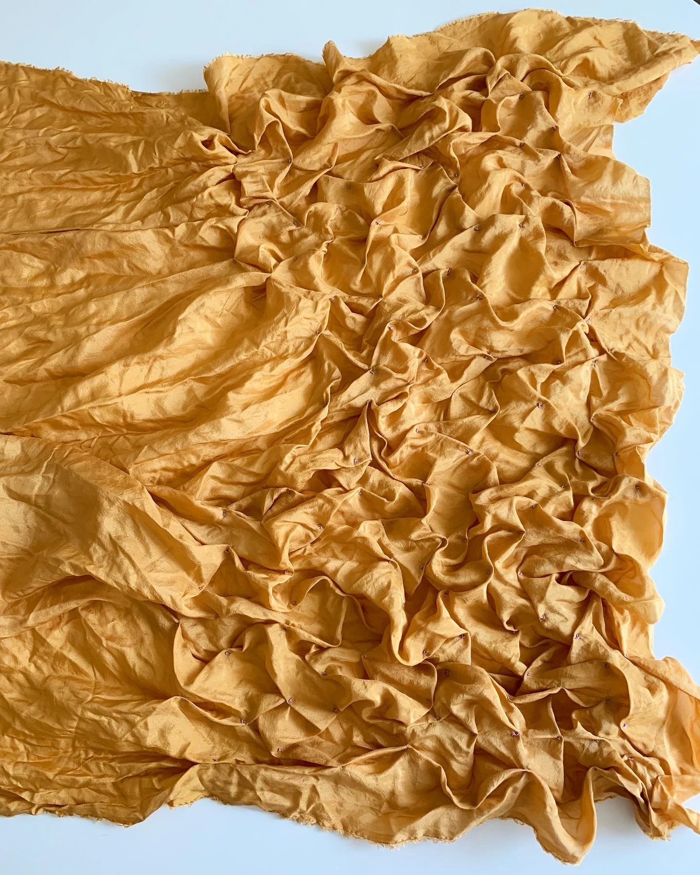 18E1931C-5D38-4010-99DE-F54F00696B81.JPG