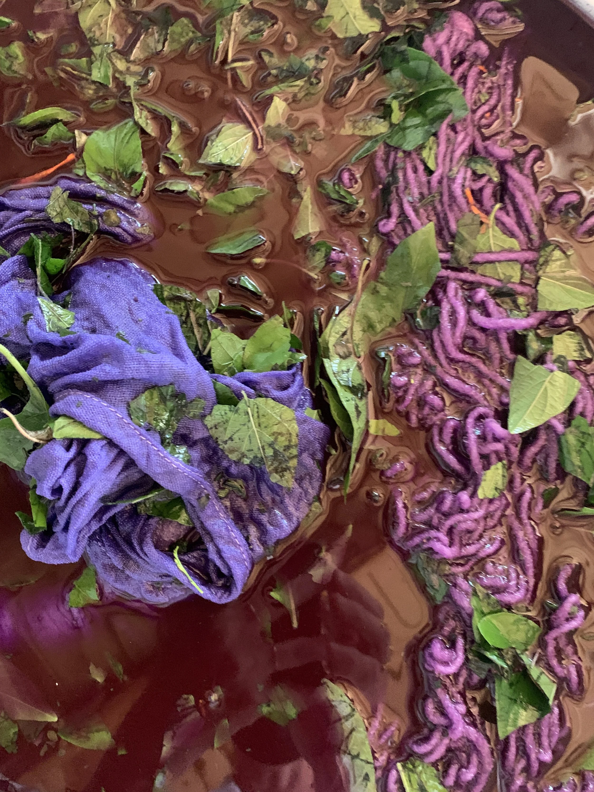 Mexchic exploration of traditional artisanal natural botanical dyes and dying in Oaxaca Mexico, hand dyed pochote ceiba kapok tree seed pod fiber endemic plant cellulose fiber perricon mexican mint marigold añil indigo magnolia rosemary granada pomeg