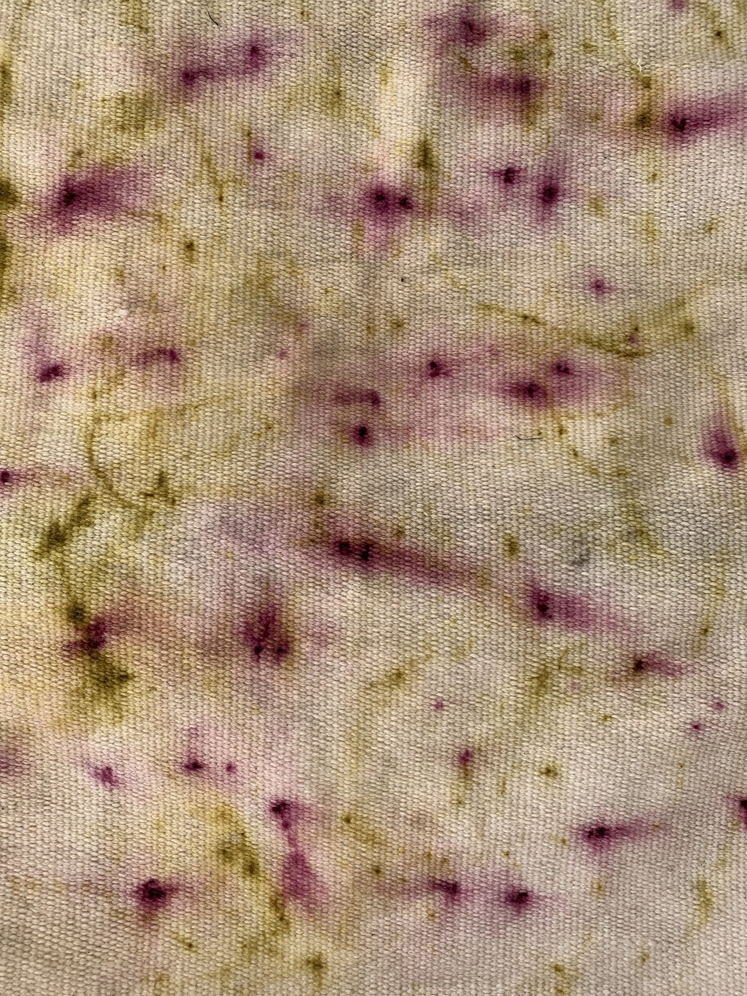 Mexchic exploration of traditional artisanal natural botanical dyes and dying in Oaxaca Mexico, hand dyed pochote ceiba kapok tree seed pod fiber endemic plant cellulose fiber perricon mexican mint marigold añil indigo magnolia rosemary granada pomeg