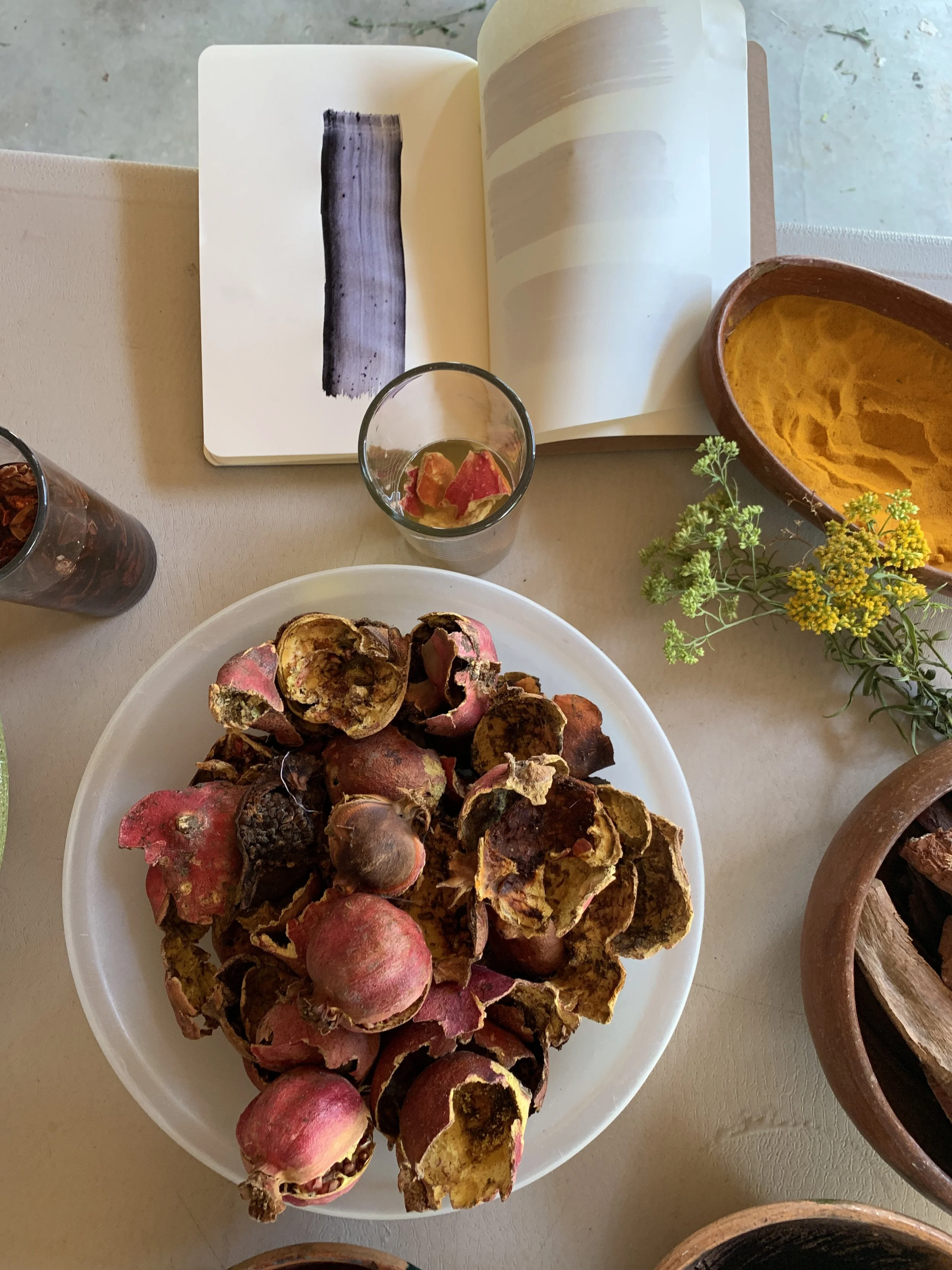 Mexchic exploration of traditional artisanal natural botanical dyes and dying in Oaxaca Mexico, hand dyed pochote ceiba kapok tree seed pod fiber endemic plant cellulose fiber perricon mexican mint marigold añil indigo magnolia rosemary granada pomeg