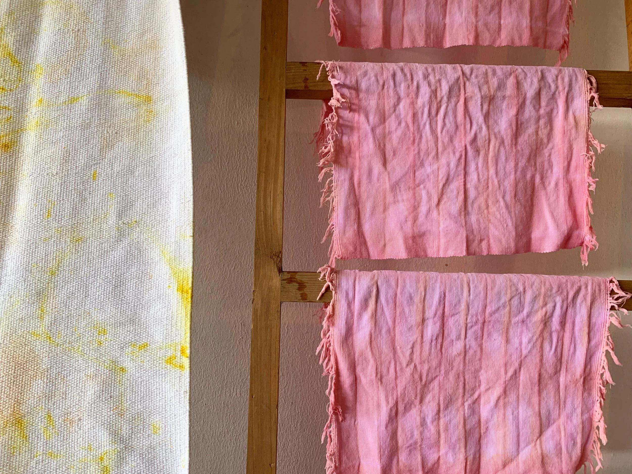 Mexchic exploration of traditional artisanal natural botanical dyes and dying in Oaxaca Mexico, hand dyed pochote ceiba kapok tree seed pod fiber endemic plant cellulose fiber perricon mexican mint marigold añil indigo magnolia rosemary granada pomeg