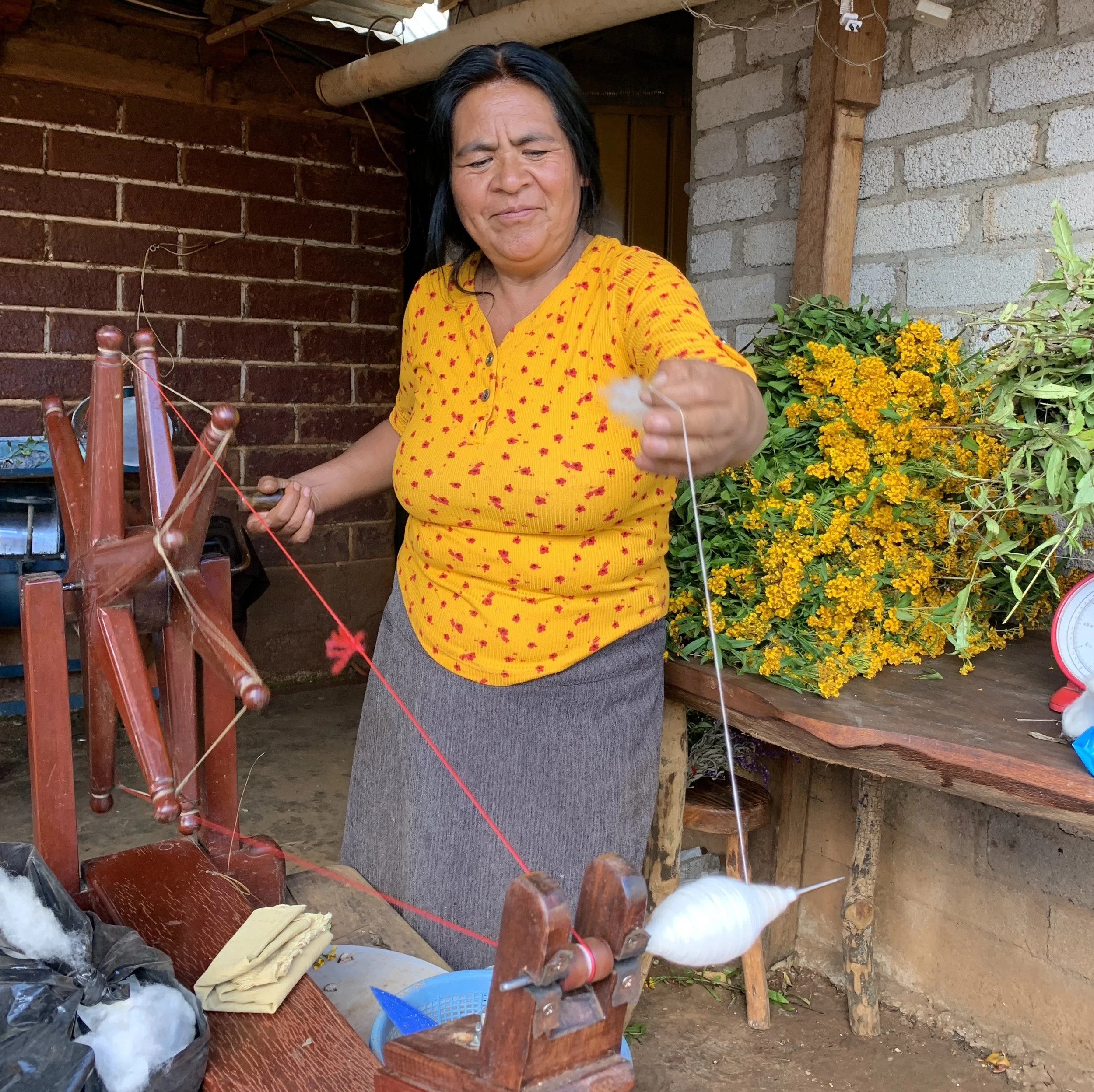 Mexchic fiber research on traditional Mayan ceiba kapok pochote seed pod fiber in Oaxaca Mexico, weaving, spinning cotton, natural, ethical, sustainable, organic fabric Mexican textiles made by craftsman and artisans with natural and botanical dyes p