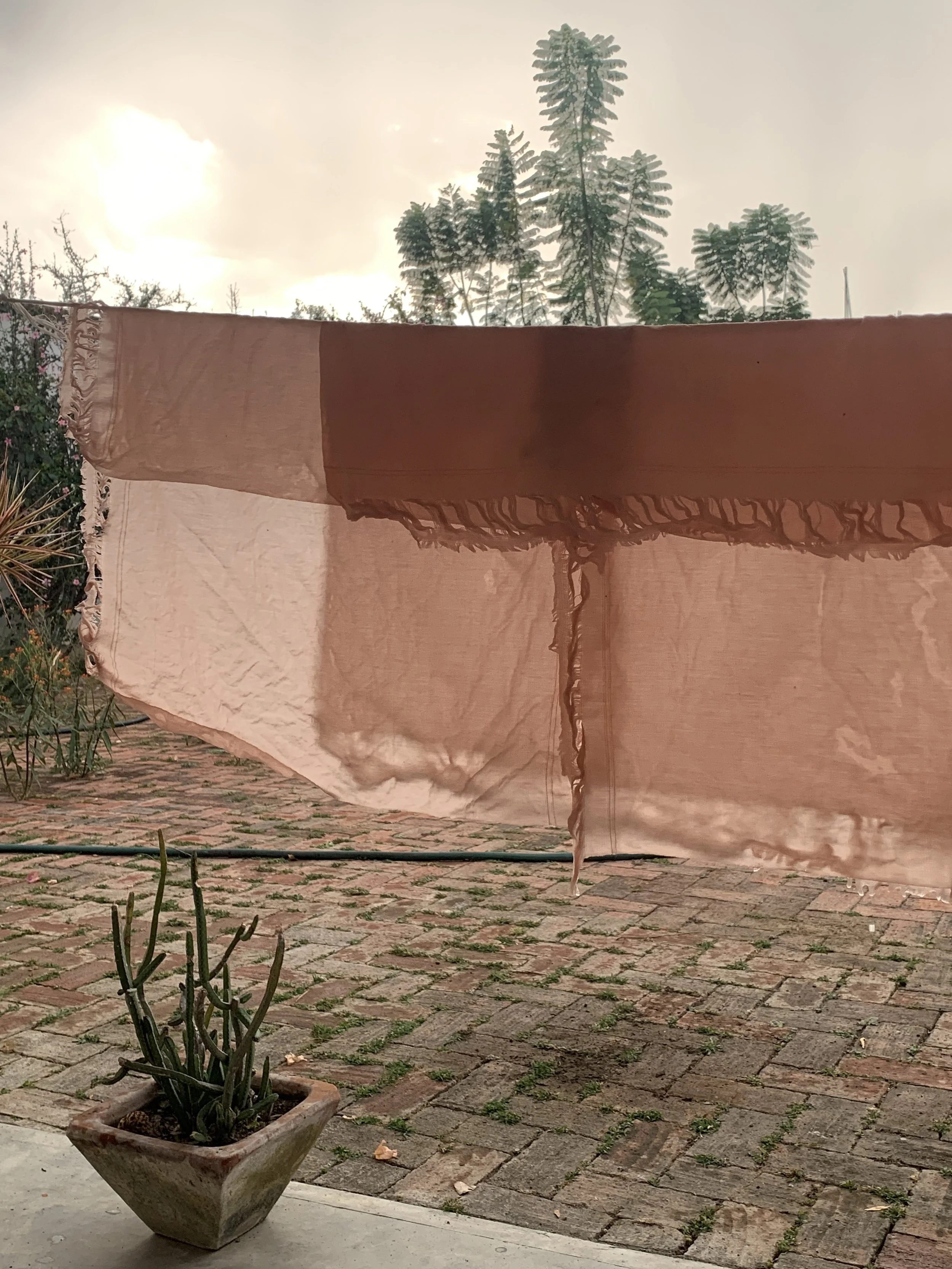 Mexchic fiber research on traditional Mayan ceiba kapok pochote seed pod fiber in Oaxaca Mexico, weaving, spinning cotton, natural, ethical, sustainable, organic fabric Mexican textiles made by craftsman and artisans with natural and botanical dyes p