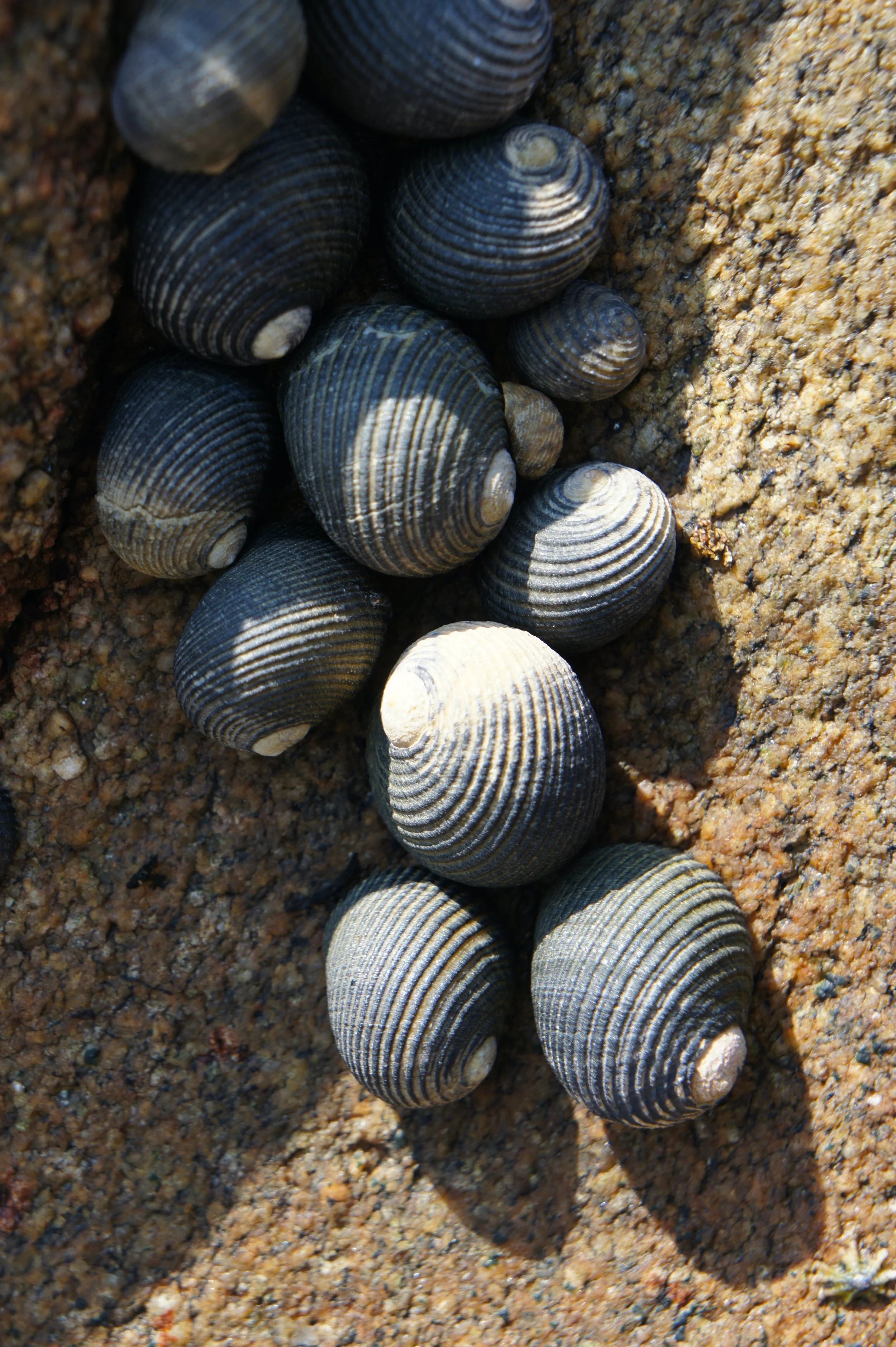 DSC02664.JPG