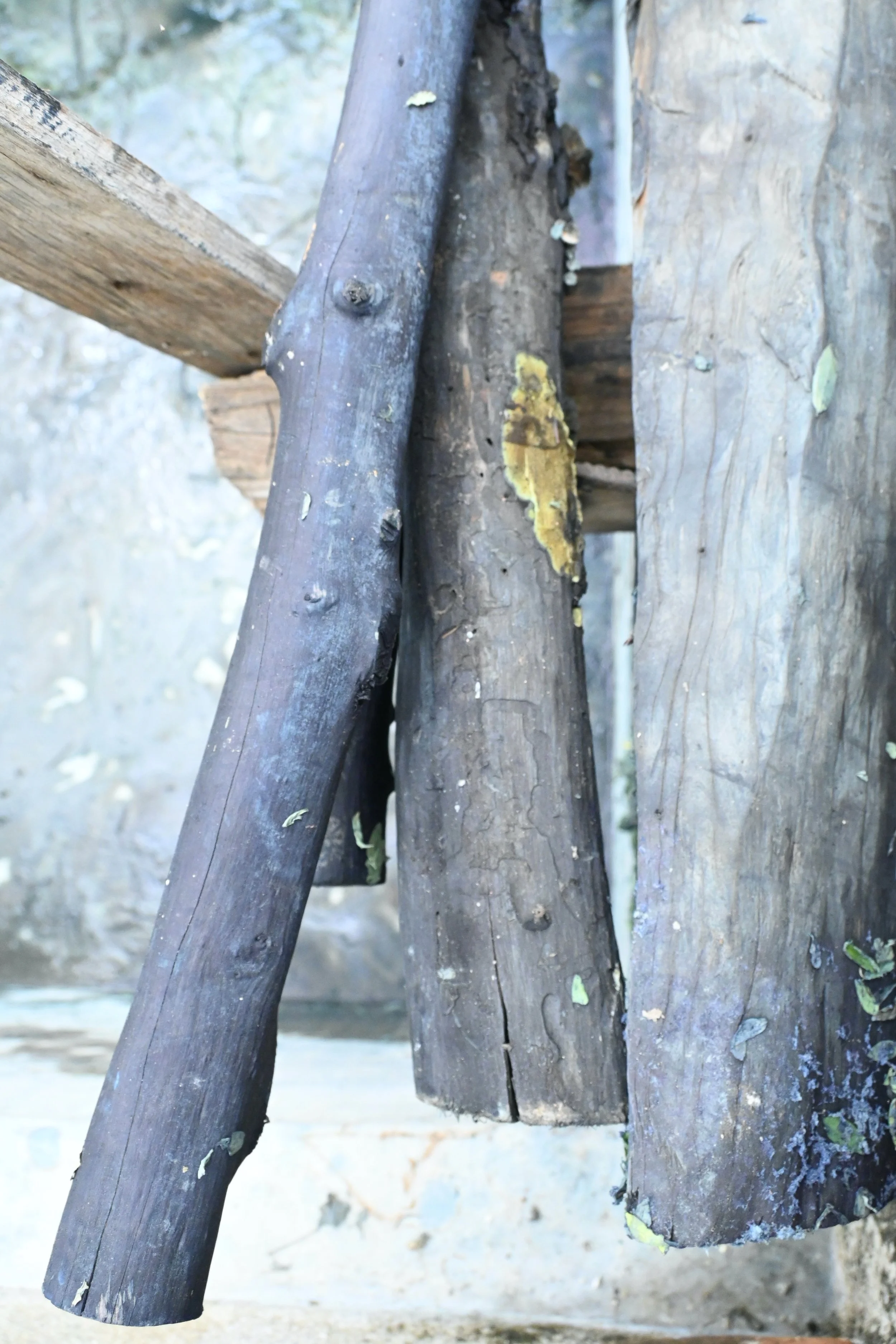 DSC_0968.JPG