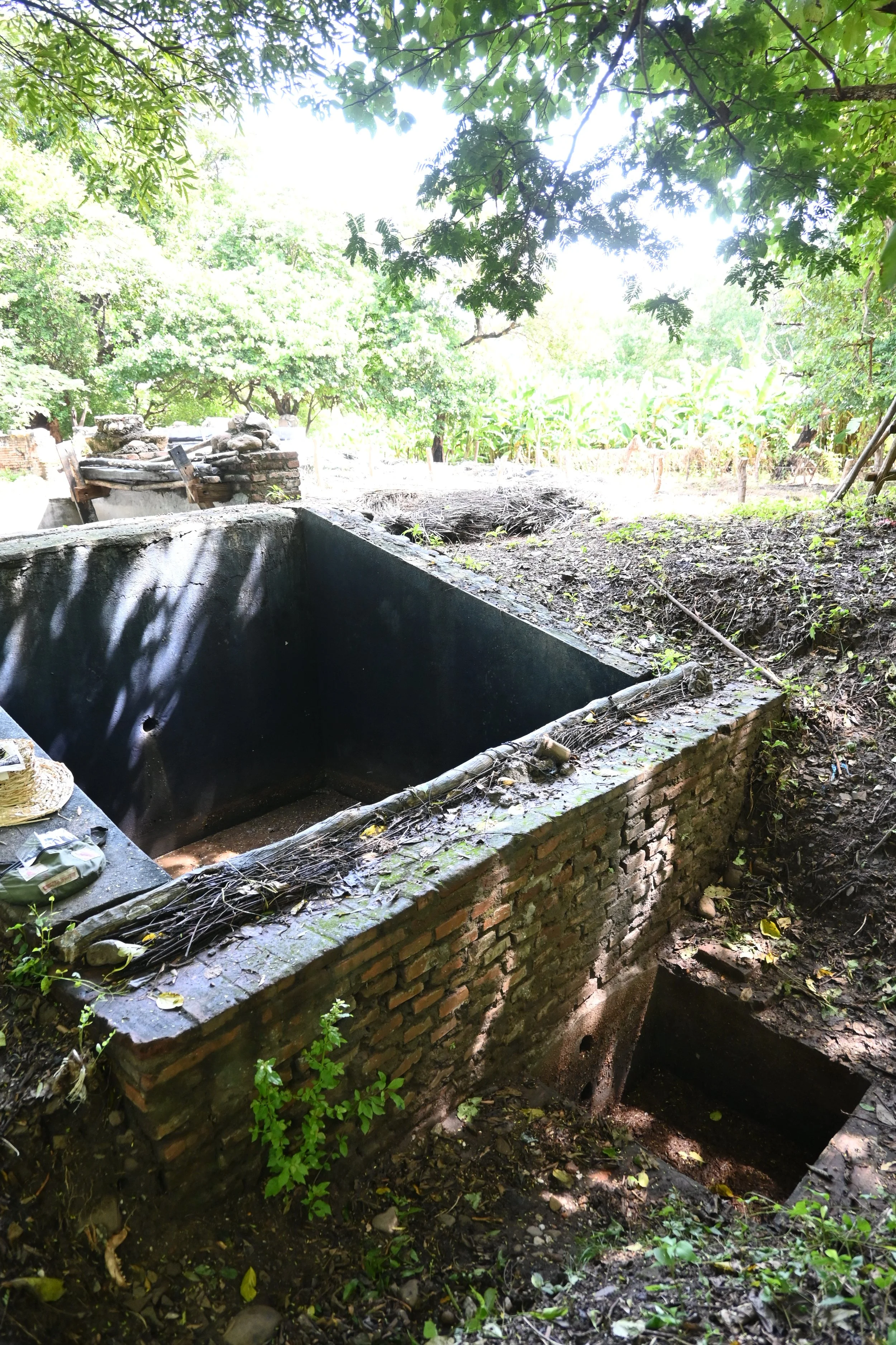 DSC_1393.JPG
