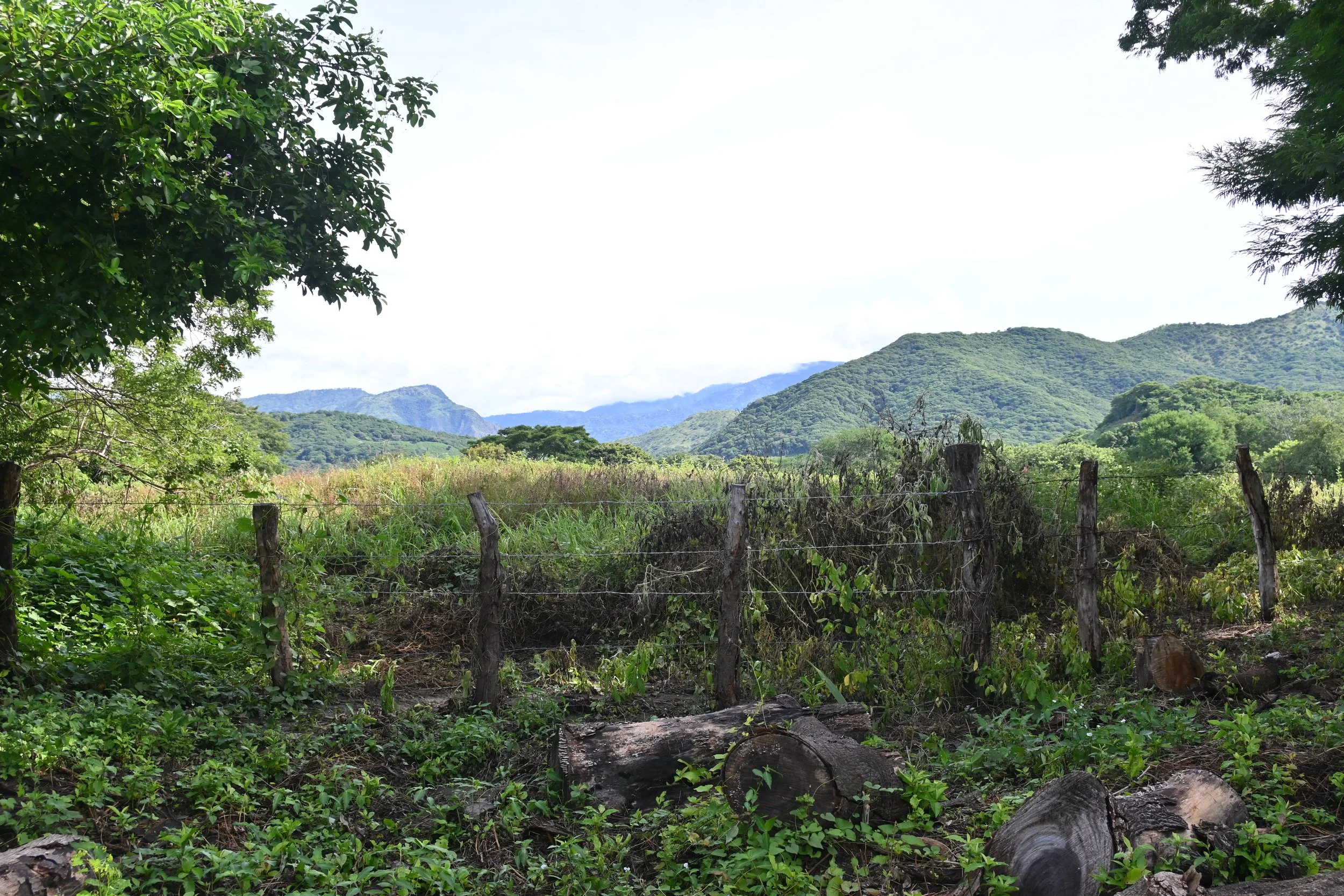 DSC_1135.JPG