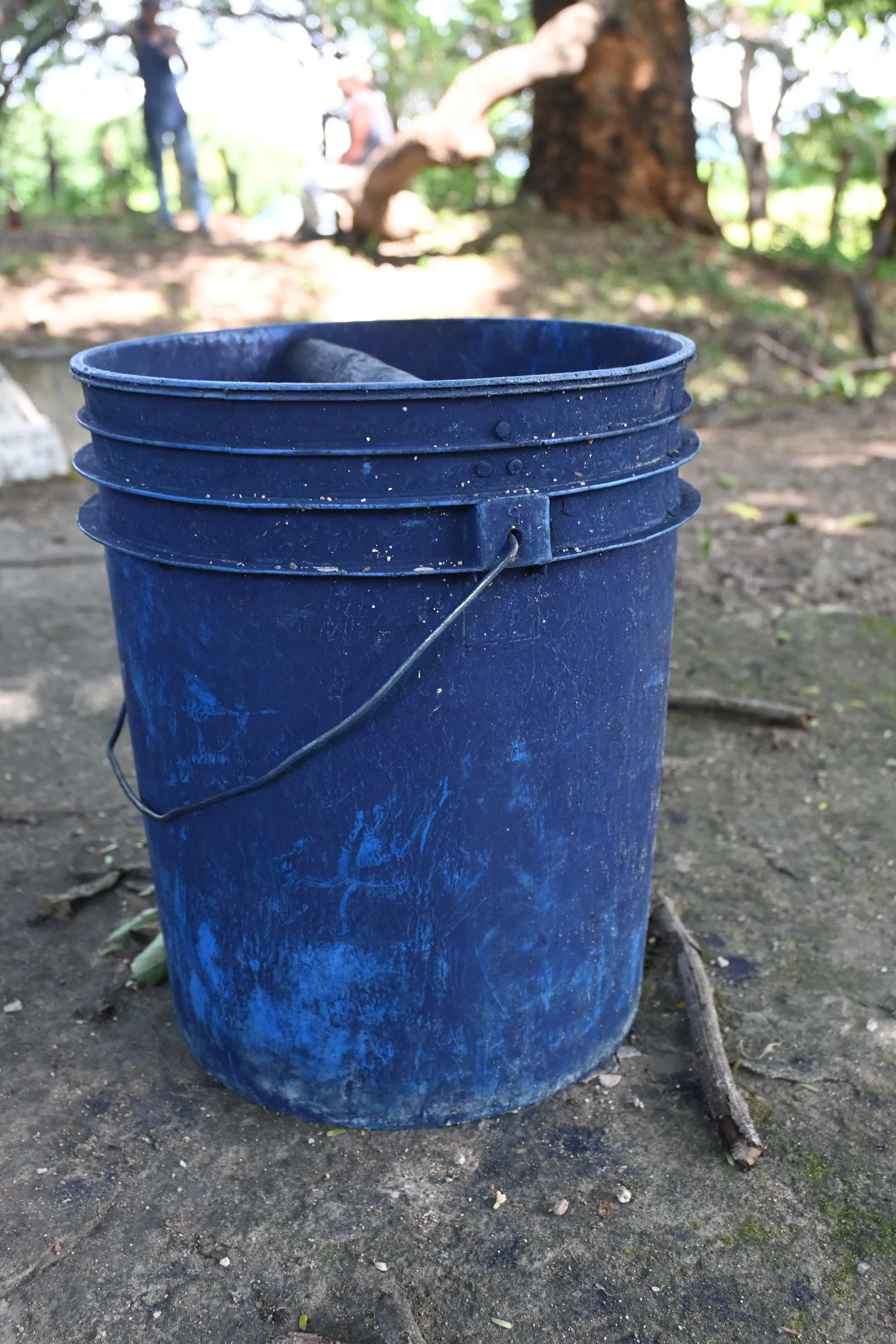 DSC_1375.JPG