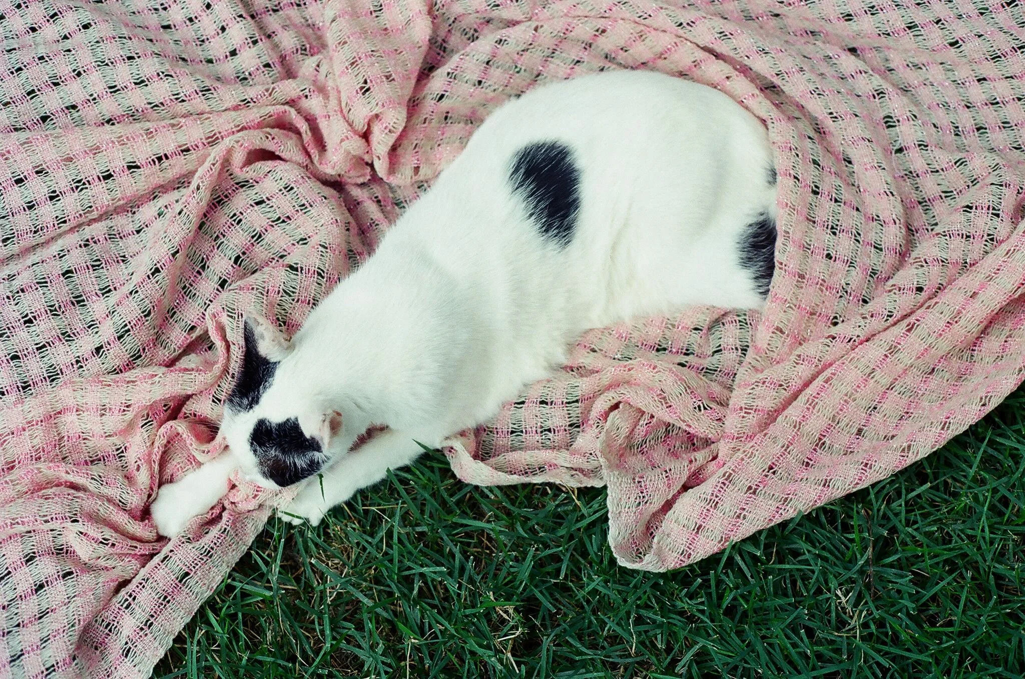 Wabi-Sabi Handwoven Blanket, in Bubblegum Pink Metallic Wool