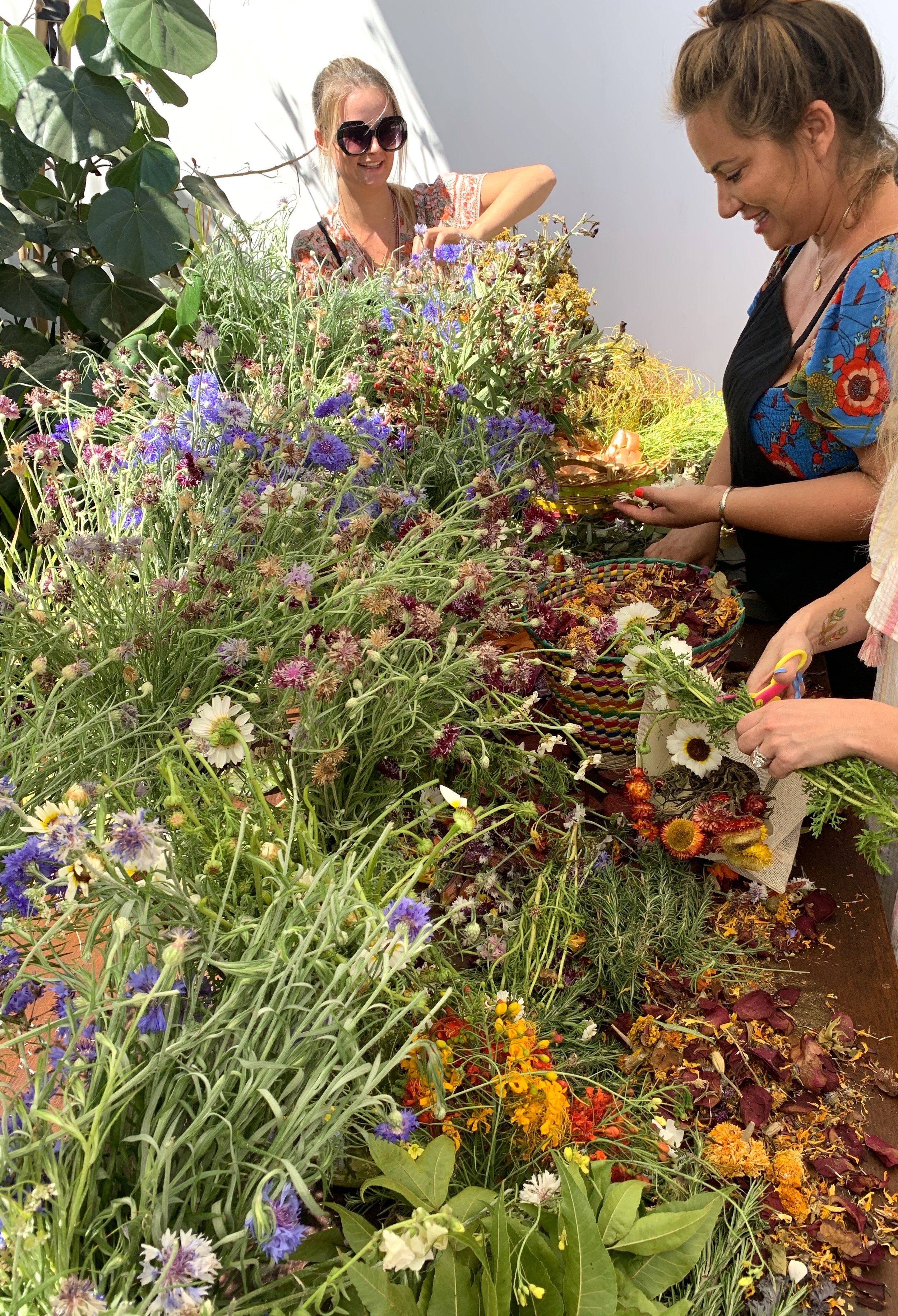 natural dyes class oaxaca mexico, work shops on creative craft making and contemporary art 