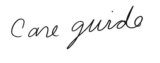 Handwritten text that says 'C' and 'are guido'.