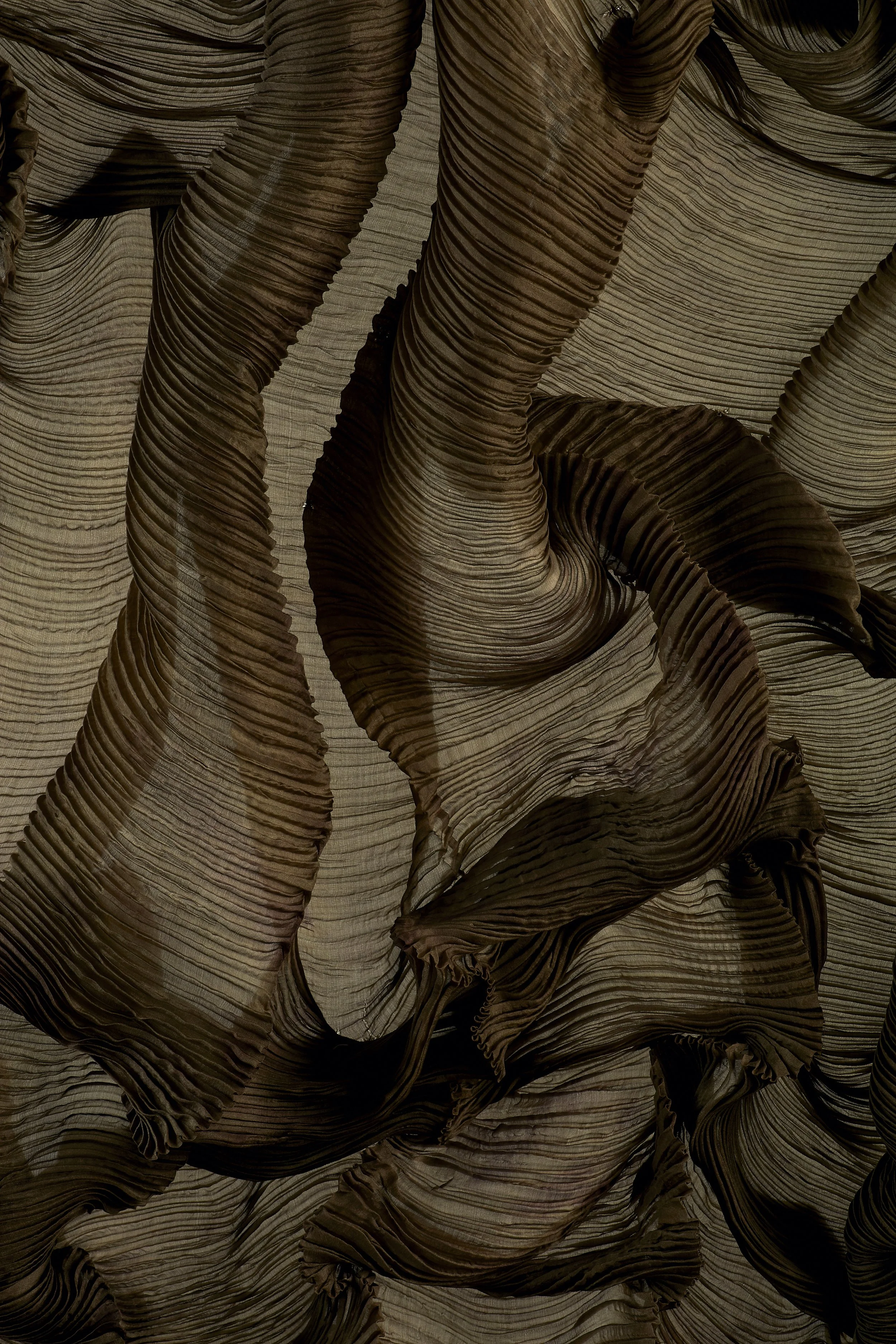 Close-up of layered, dried, and curled leaves in shades of brown and beige, exhibiting textured ridges and flowing shapes.